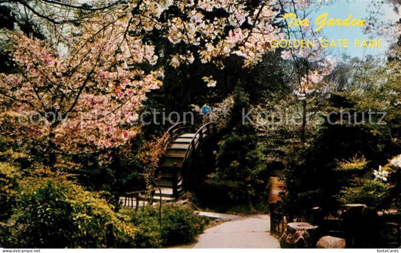 73123617 San_Francisco_California Japanese Tea Garden Golden Gate Park - Other & Unclassified