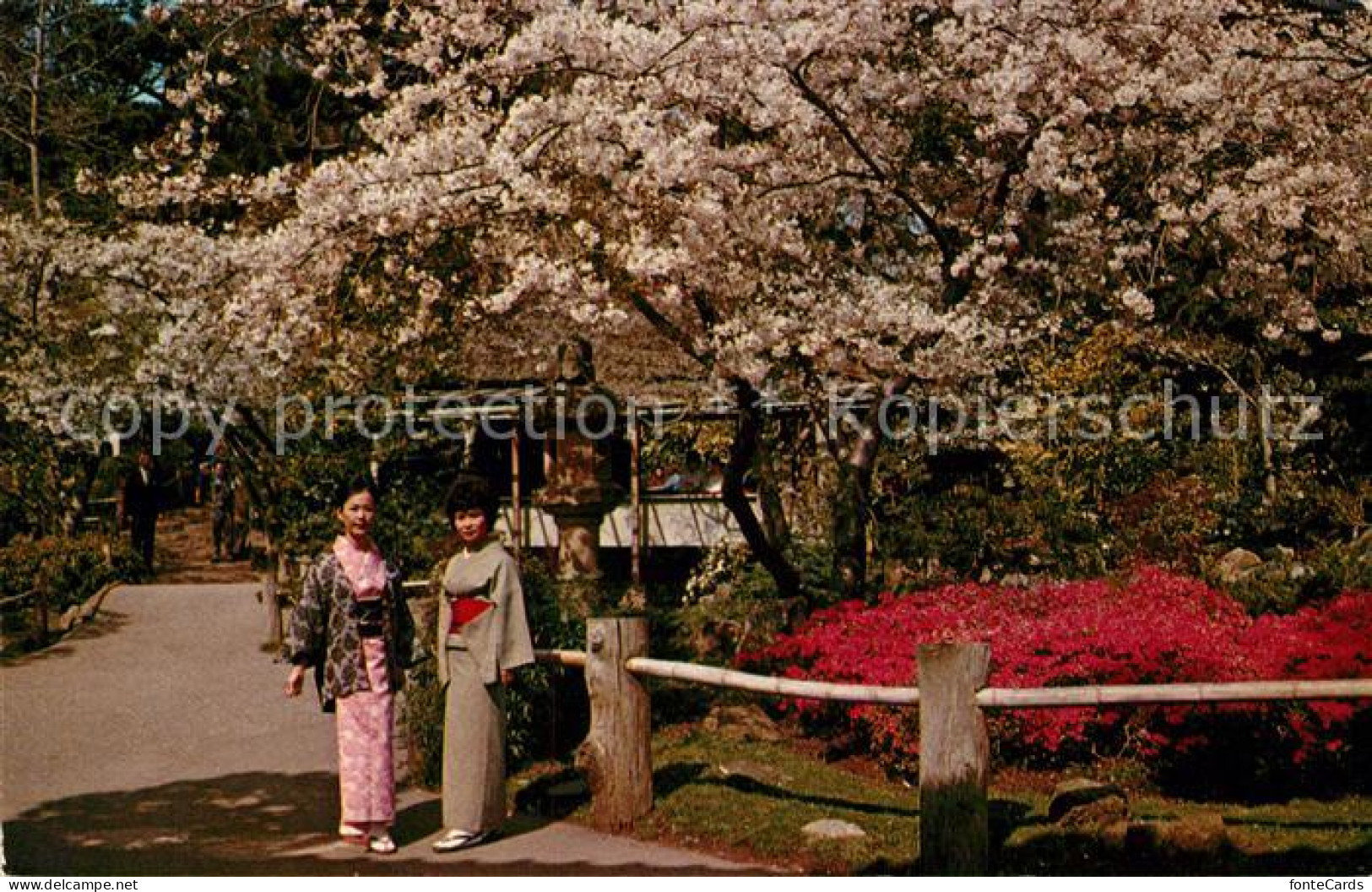 73123613 San_Francisco_California Japanese Tea Garden In Golden Gate Park Orient - Other & Unclassified