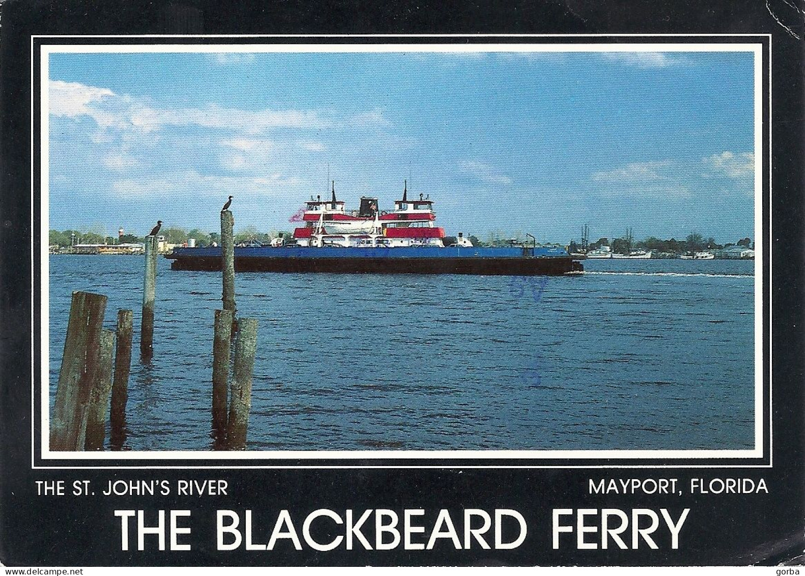 *CPM - ETATS UNIS - FLORIDE - JACKSONVILLE - The Blackbeard Ferry On The St John's River - Mayport - Jacksonville