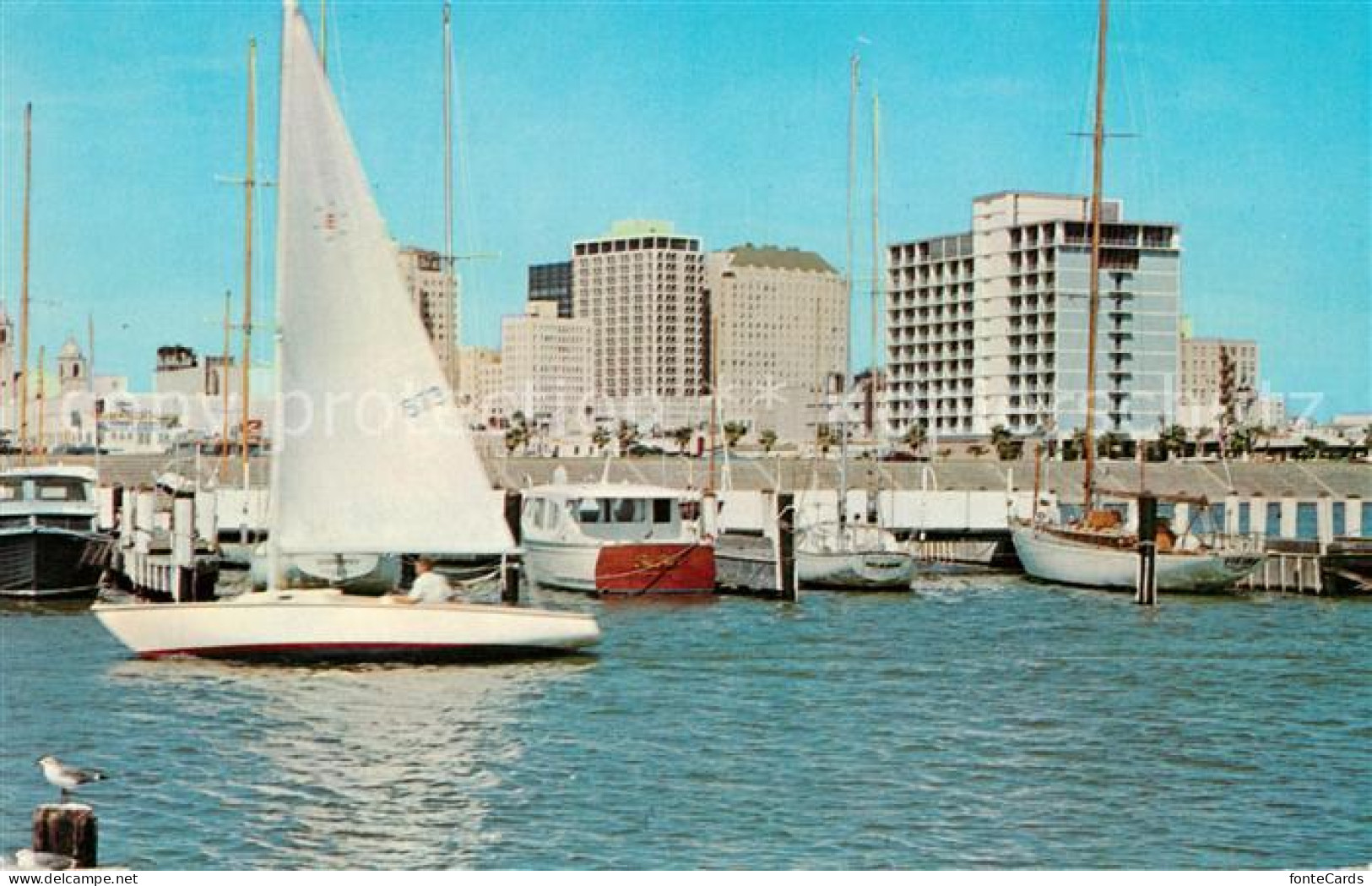 73082596 Corpus_Christi Yacht Basin Segelboot - Other & Unclassified