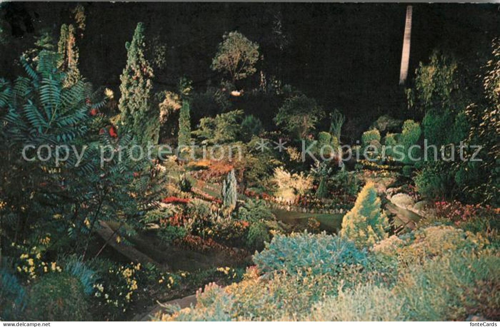 73061119 Victoria British Columbia The Sunken Garden By Night The Butchart Garde - Unclassified