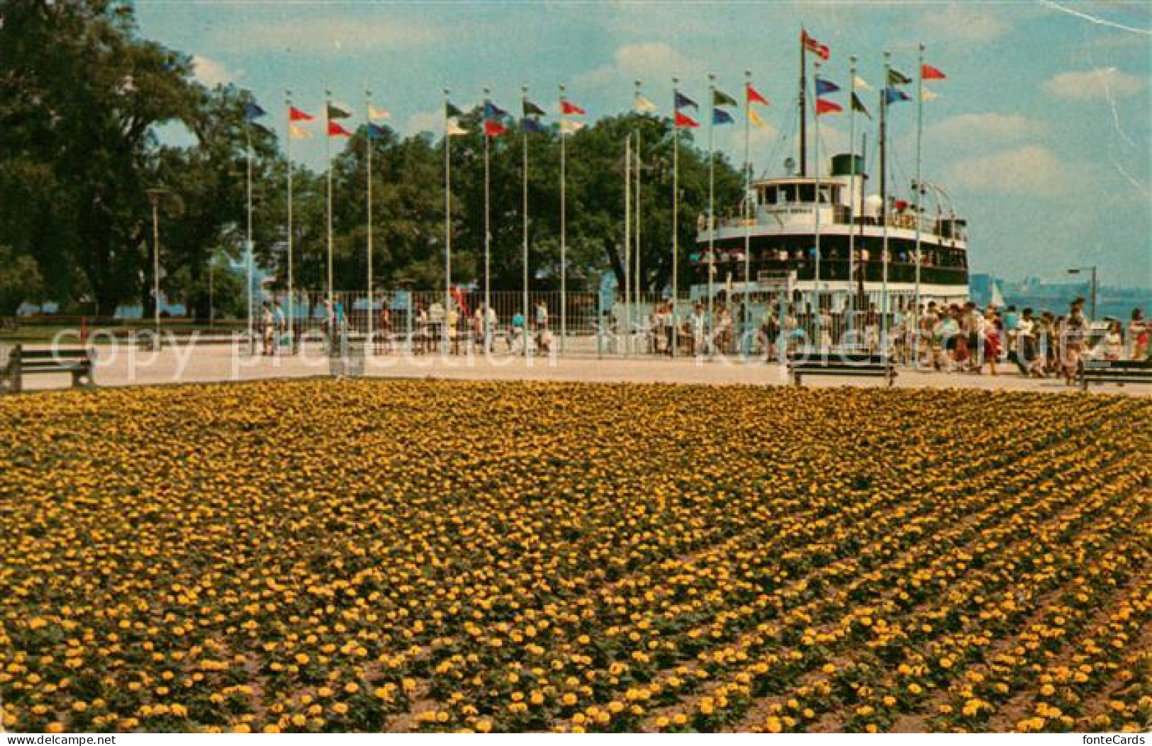 73061073 Toronto Canada Flower Beds Greet Passengers At Centre Island Ferry Term - Unclassified