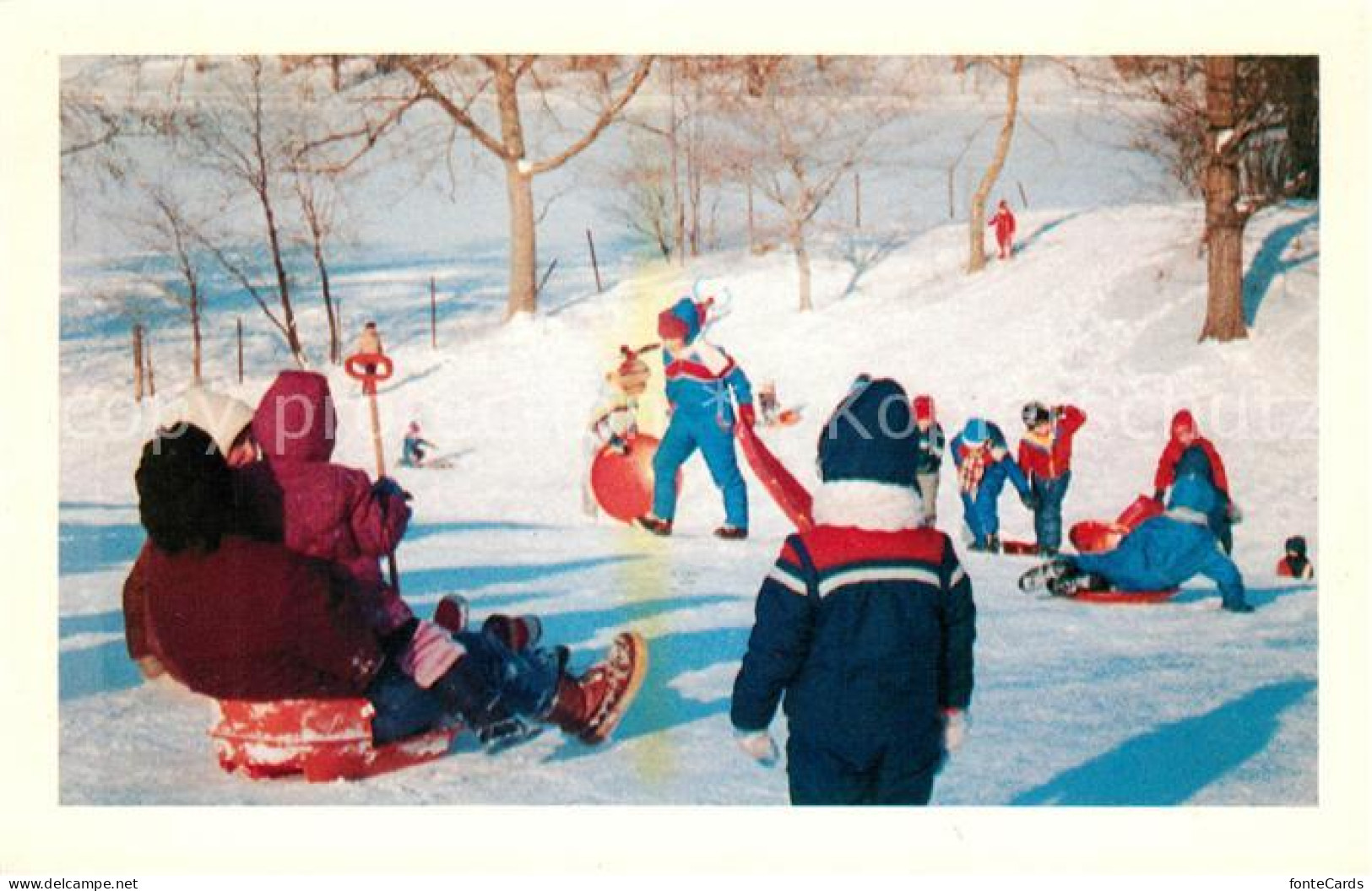 73060801 Buffalo_New_York Winter Fun In Delaware Park - Sonstige & Ohne Zuordnung