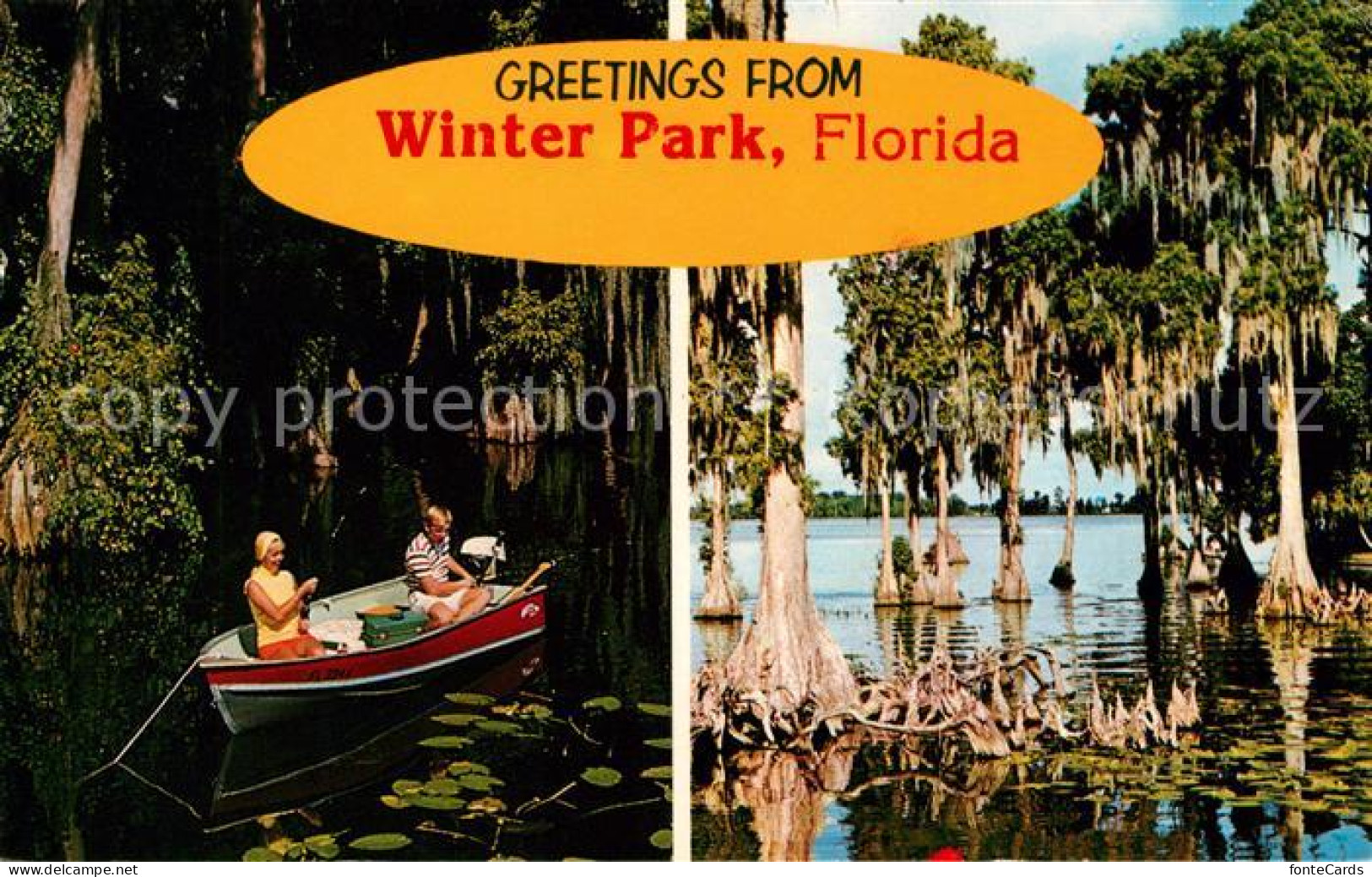 73060790 Winter_Park_Florida Angler Mangroven - Sonstige & Ohne Zuordnung