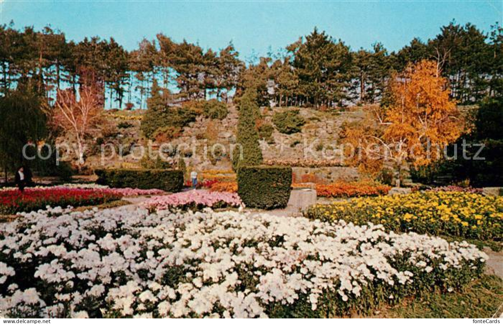 73060693 Hamilton Ontario Rock Garden In The Royal Botanical Gardens Hamilton On - Unclassified