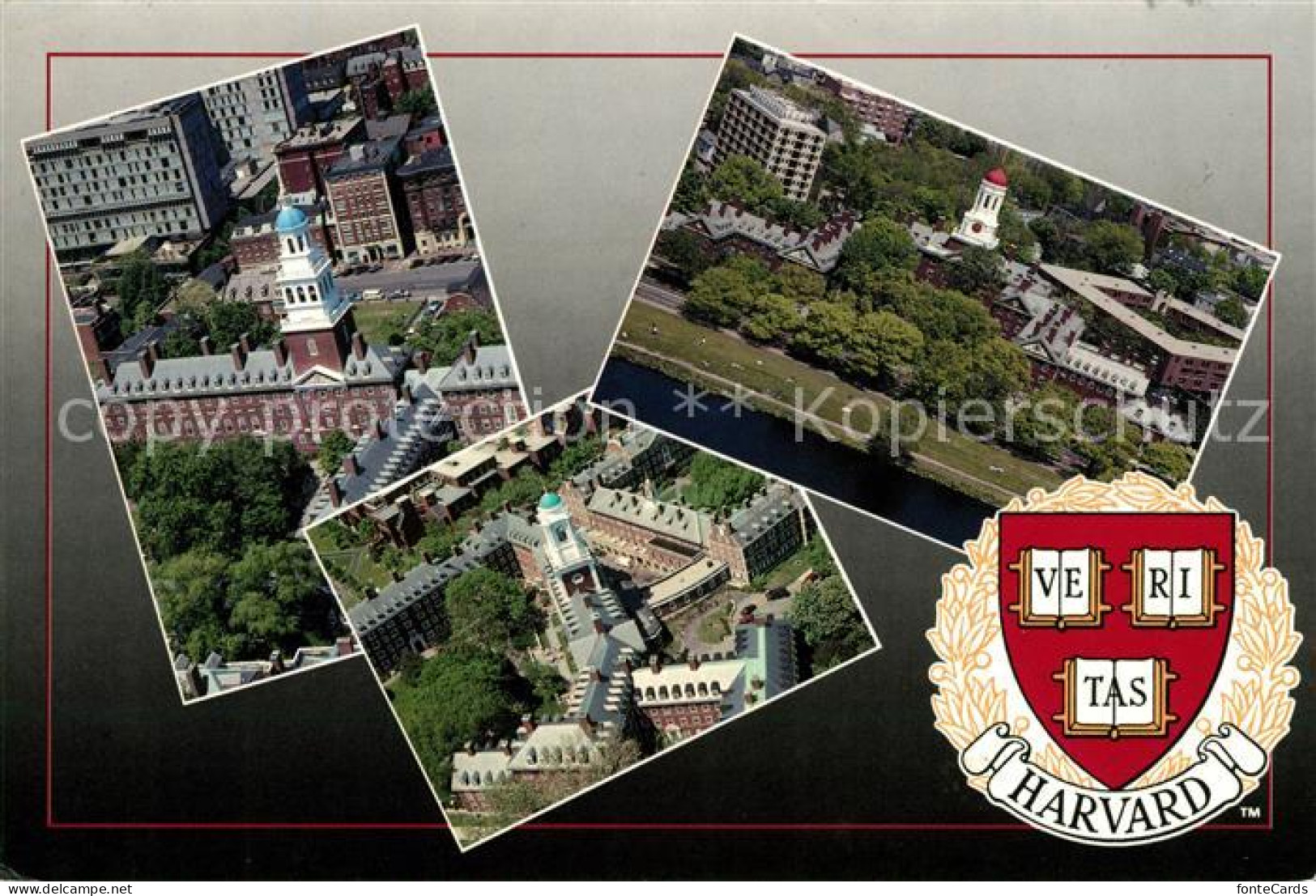 73059377 Cambridge_Massachusetts Harvard University  - Altri & Non Classificati