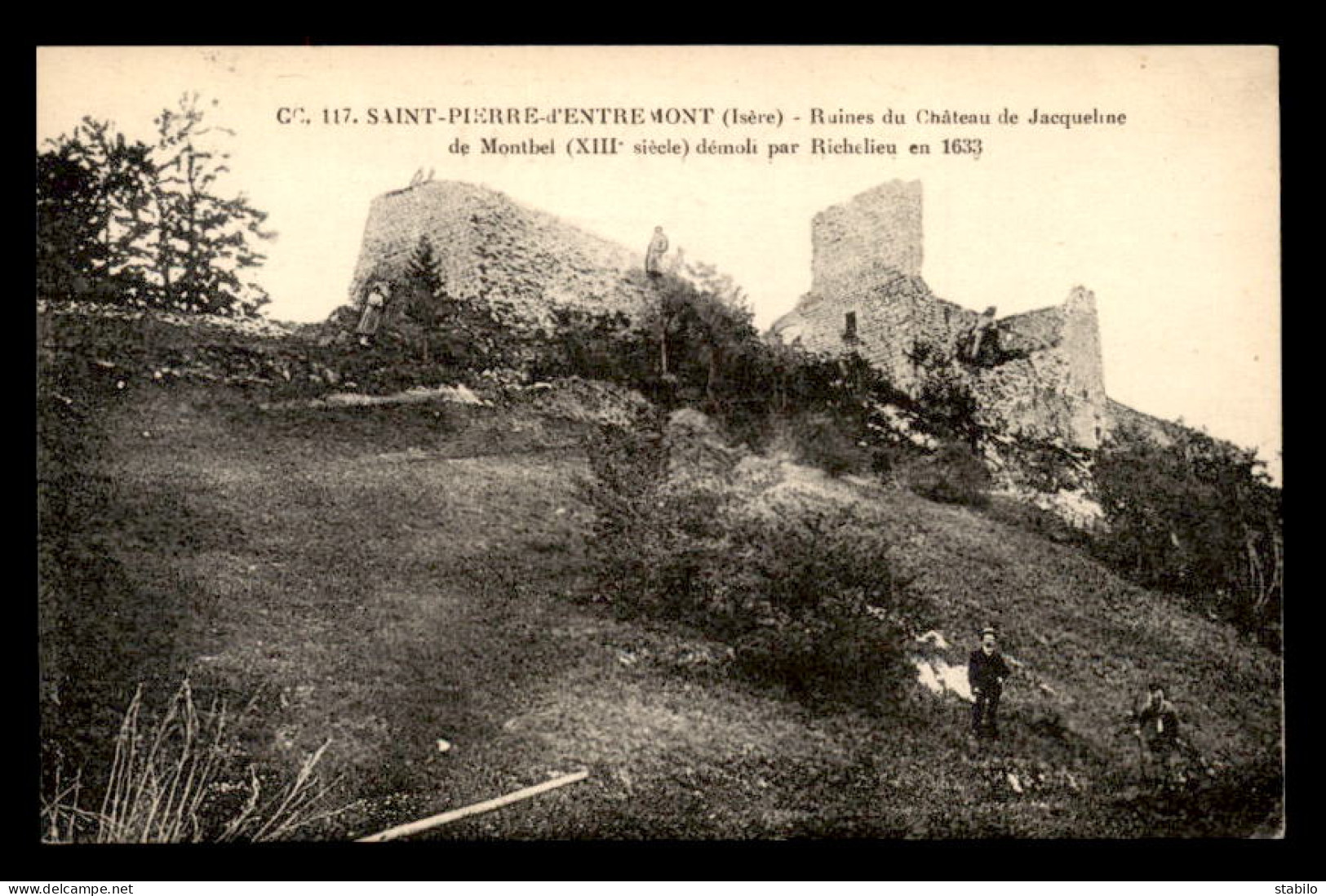 38 - ST-PIERRE-D' ENTREMONT - RUINES DU CHATEAU DE JACQUELINE DE MONTBEL - Saint-Pierre-d'Entremont