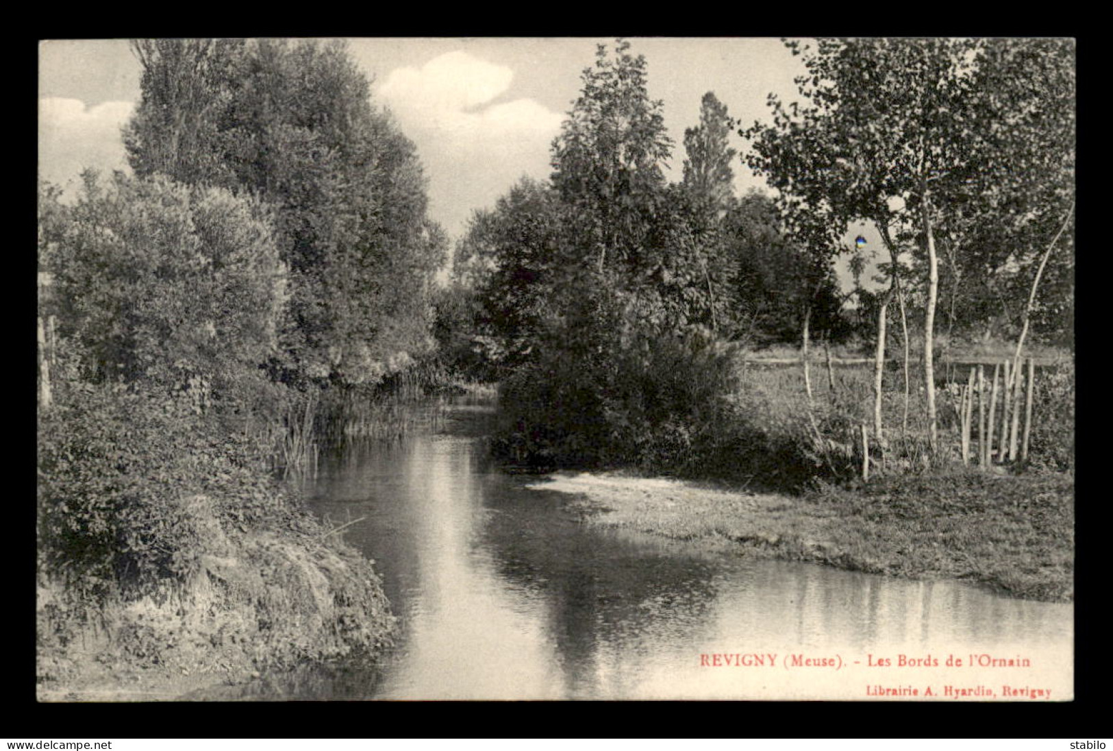 55 - REVIGNY-SUR-ORNAIN - LES BORDS DE L'ORNAIN - EDITEUR HYARDIN - Revigny Sur Ornain