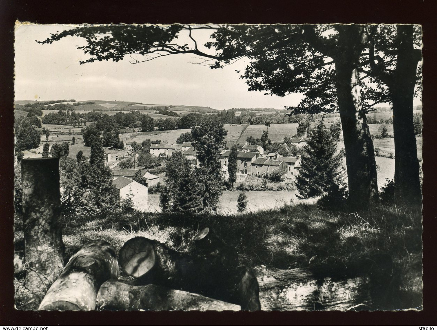 81 - ANGLES - LE HAMEAU DE AMBOURG - Angles