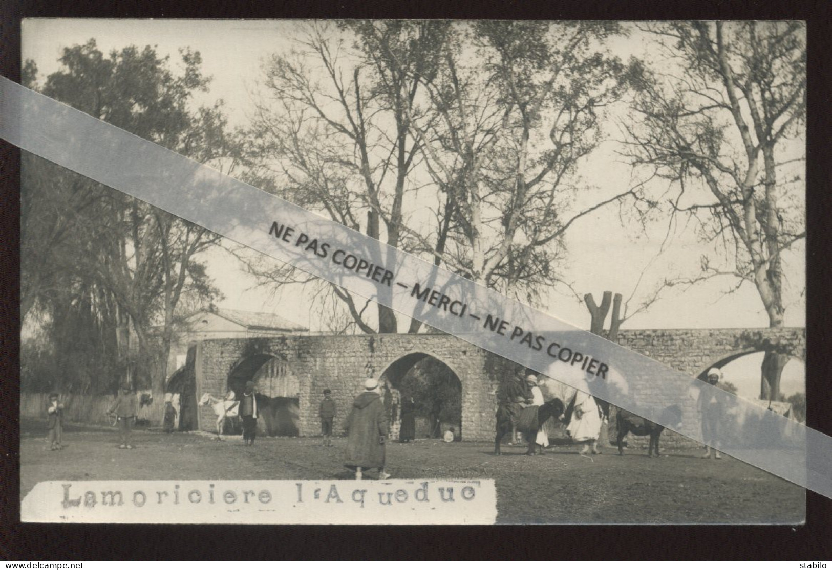 ALGERIE - LAMORICIERE - L'AQUEDUC - CARTE PHOTO ORIGINALE - Sonstige & Ohne Zuordnung