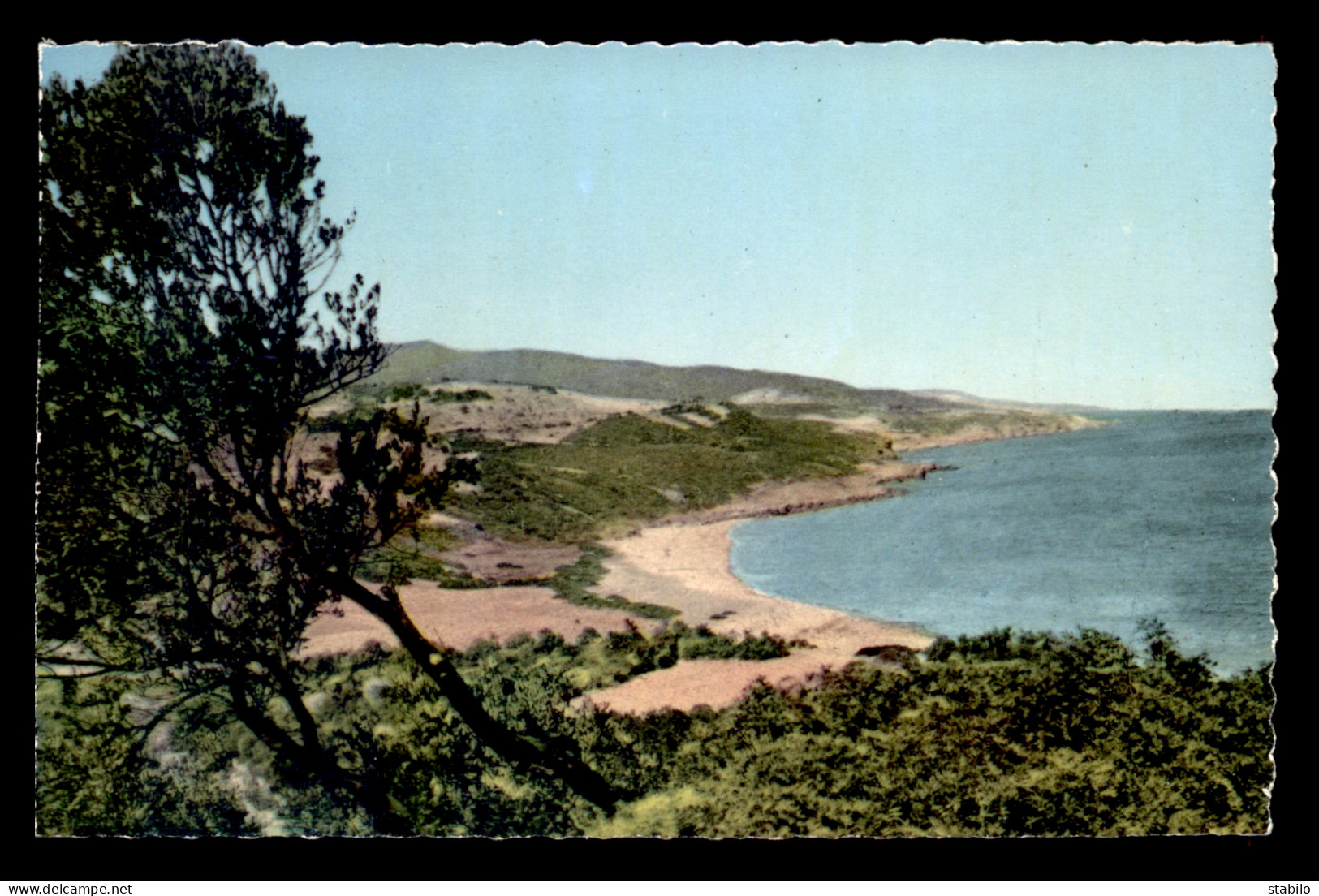 ALGERIE - ROUTE DE DELLYS A TIGZIT SUR MER - Autres & Non Classés