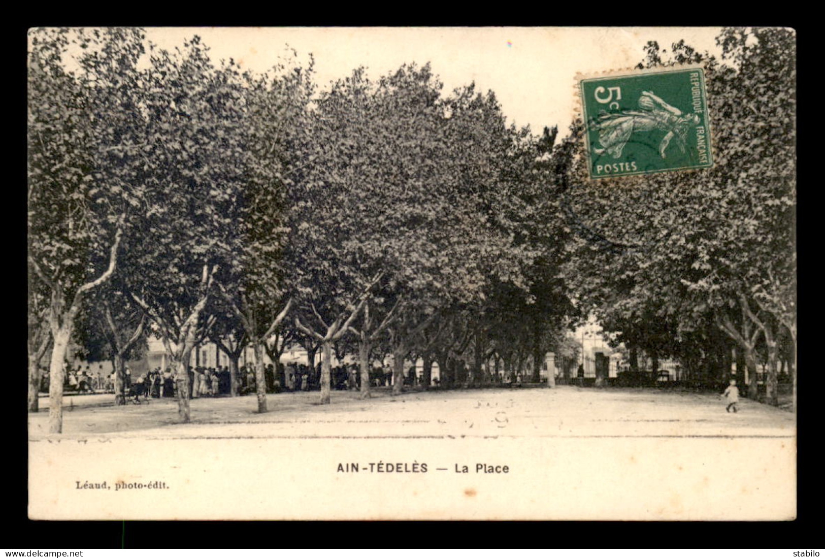 ALGERIE - AIN-TEDELES - LA PLACE - Autres & Non Classés