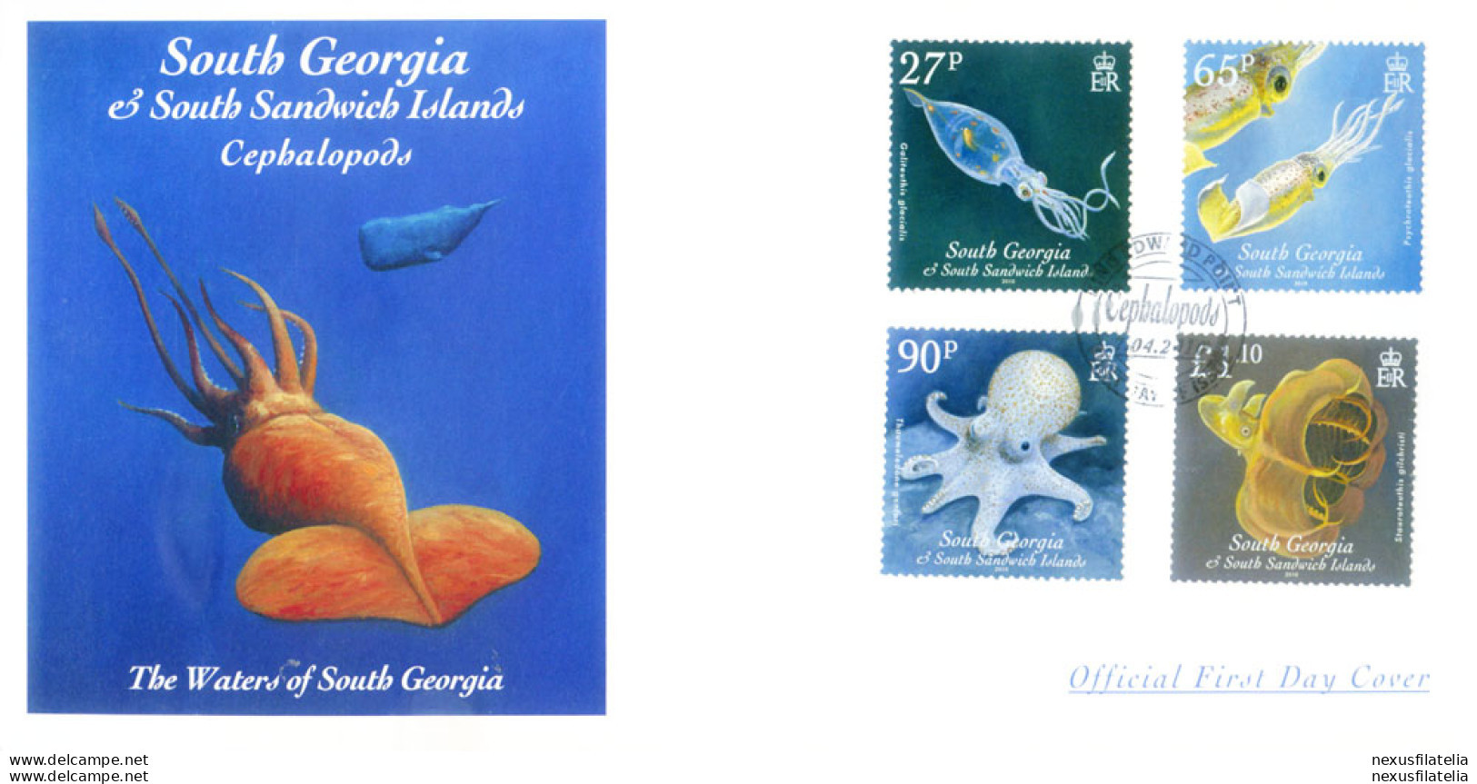 South Georgia. Cefalopodi 2010. 2 FDC. - Falklandinseln