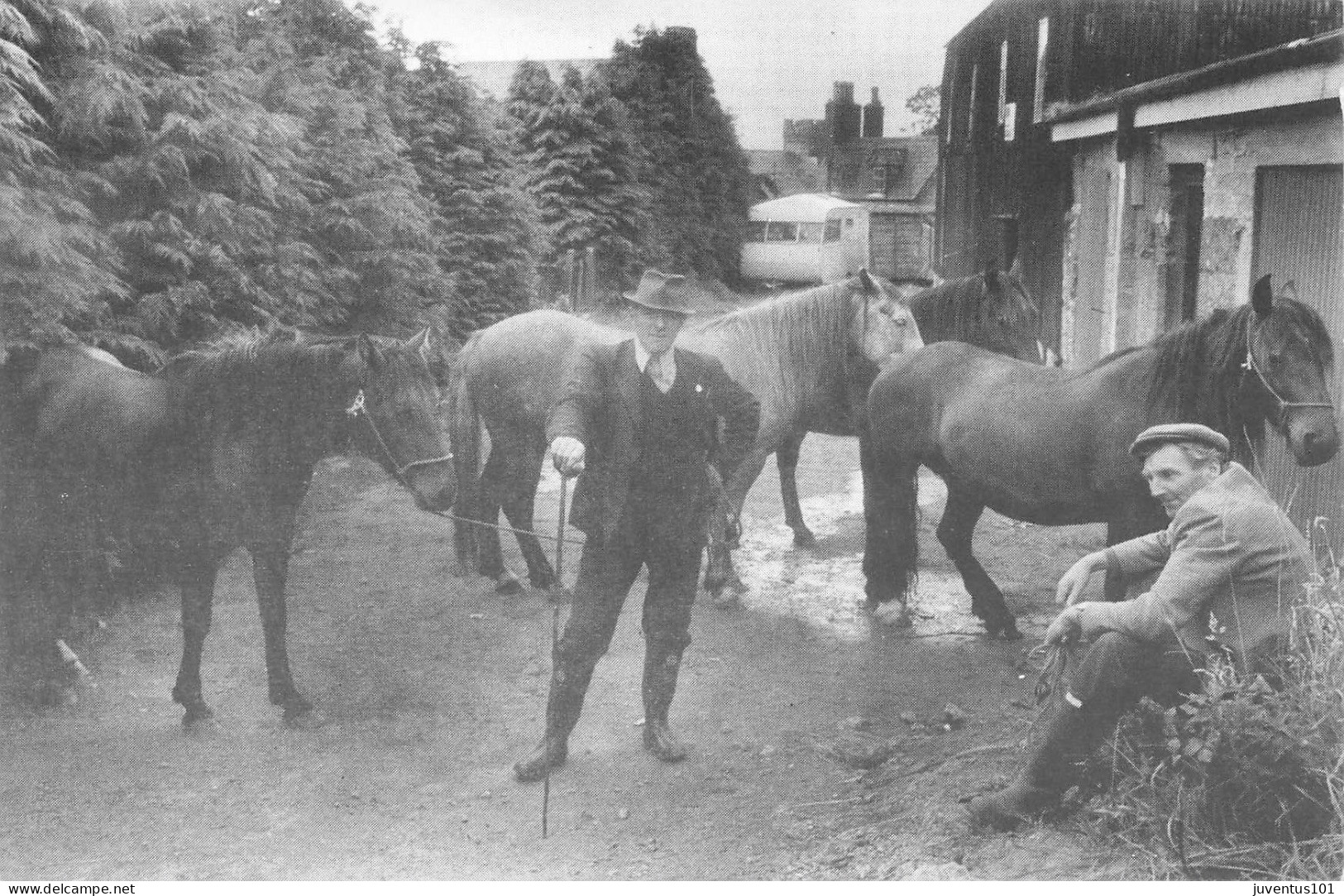 CPSM Horse Fair,Kerry-Timbre-RARE     L2871 - Kerry