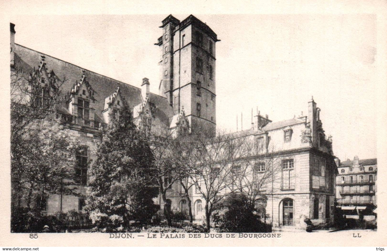 Dijon - Le Palais Des Ducs De Bourgogne - Dijon