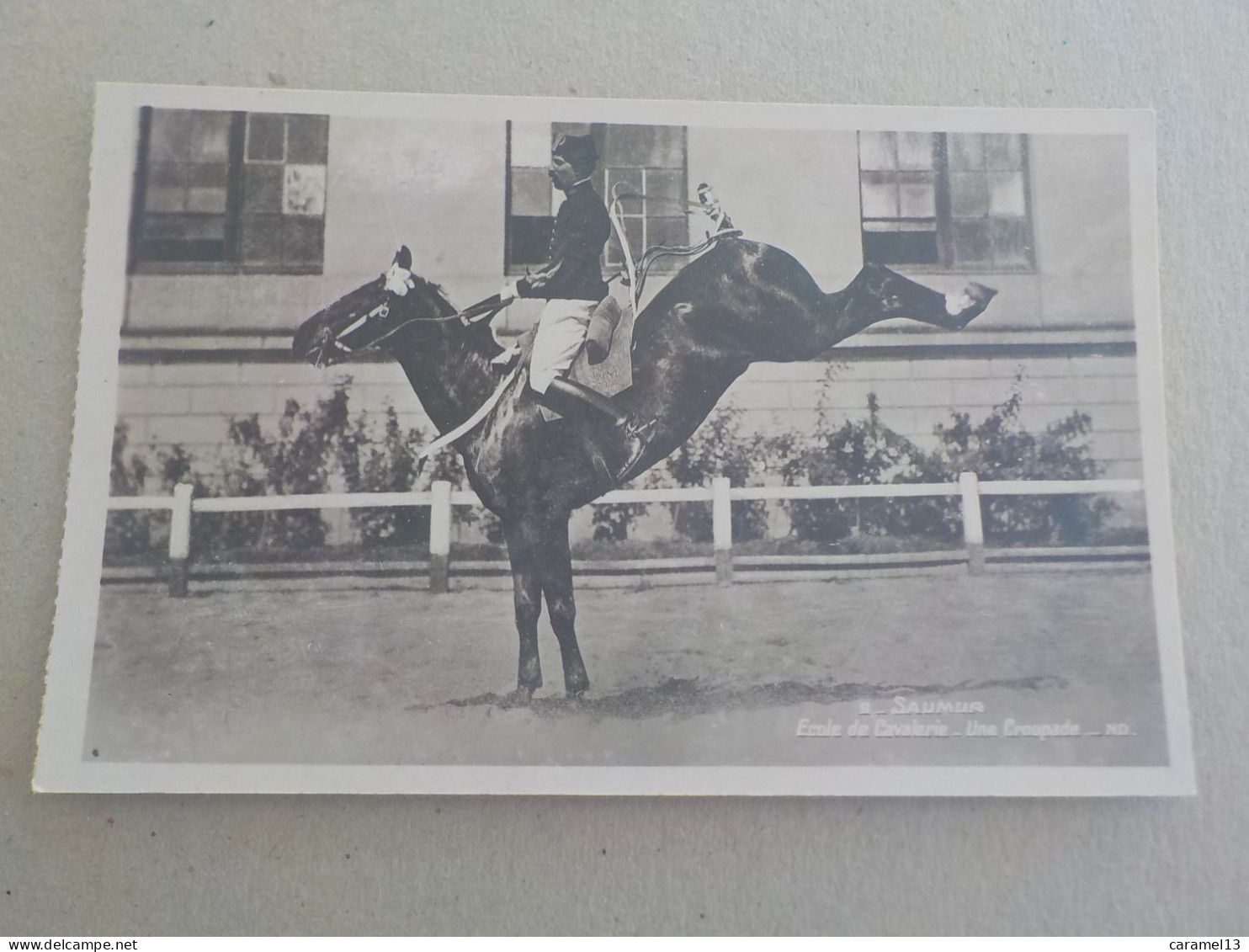 CPSM -  AU PLUS RAPIDE - CHEVAL - SAUMUR ECOLE DE CAVALERIE - UNE CROUPADE  -  NON VOYAGEE    - FORMAT CPA - Cavalli