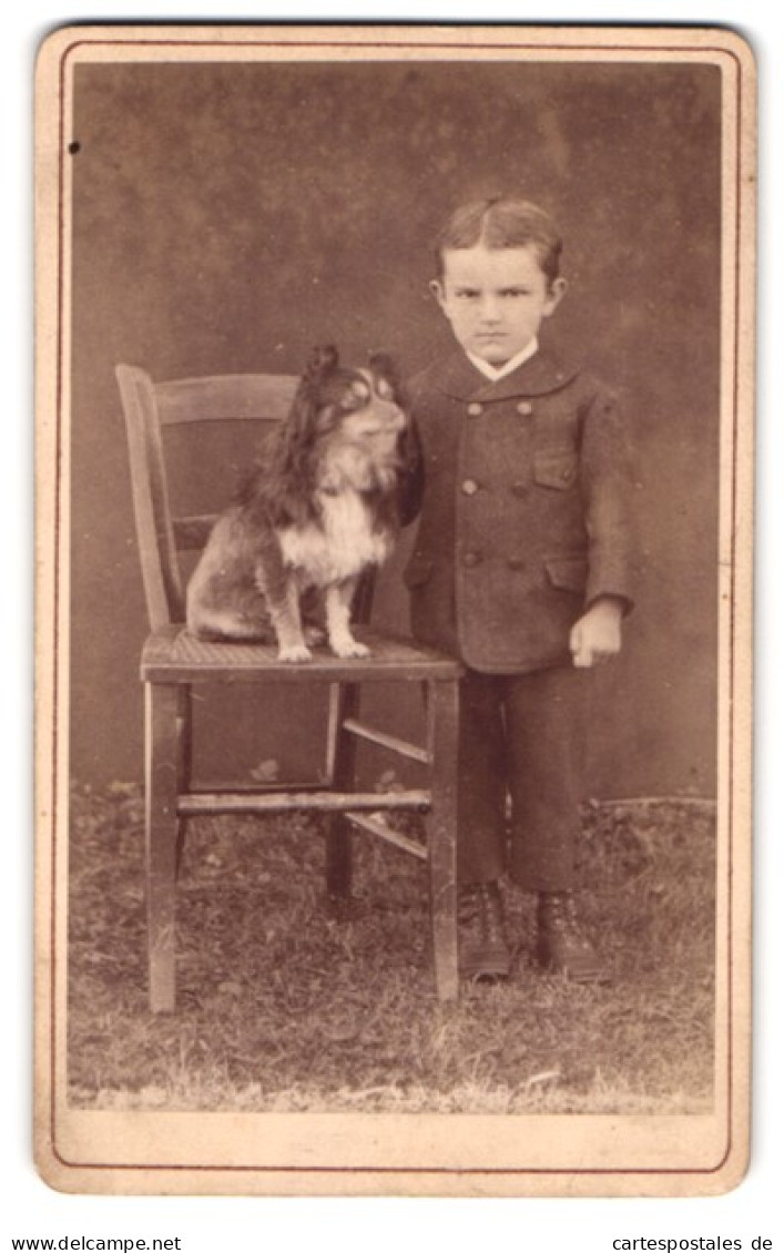 Fotografie Franz Asanger, Vilshofen A. D., Portrait Junger Knabe Im Anzug Mit Kleine Hund Auf Dem Stuhl Neben Ihm  - Personnes Anonymes