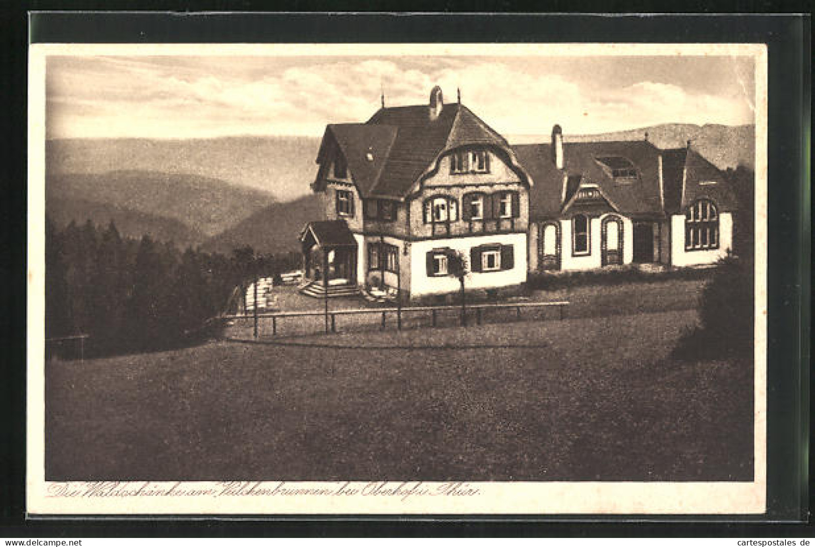 AK Oberhof I. Thür., Gasthaus Waldschenke Am Veilchenbrunnen  - Oberhof