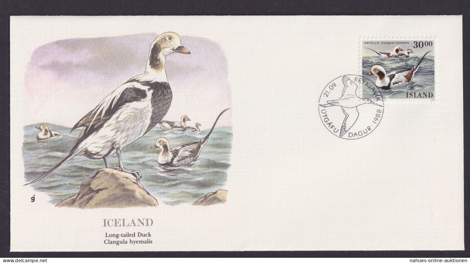 Iceland Island Fauna Vögel Eisenten Schöner Künstler Brief - Covers & Documents