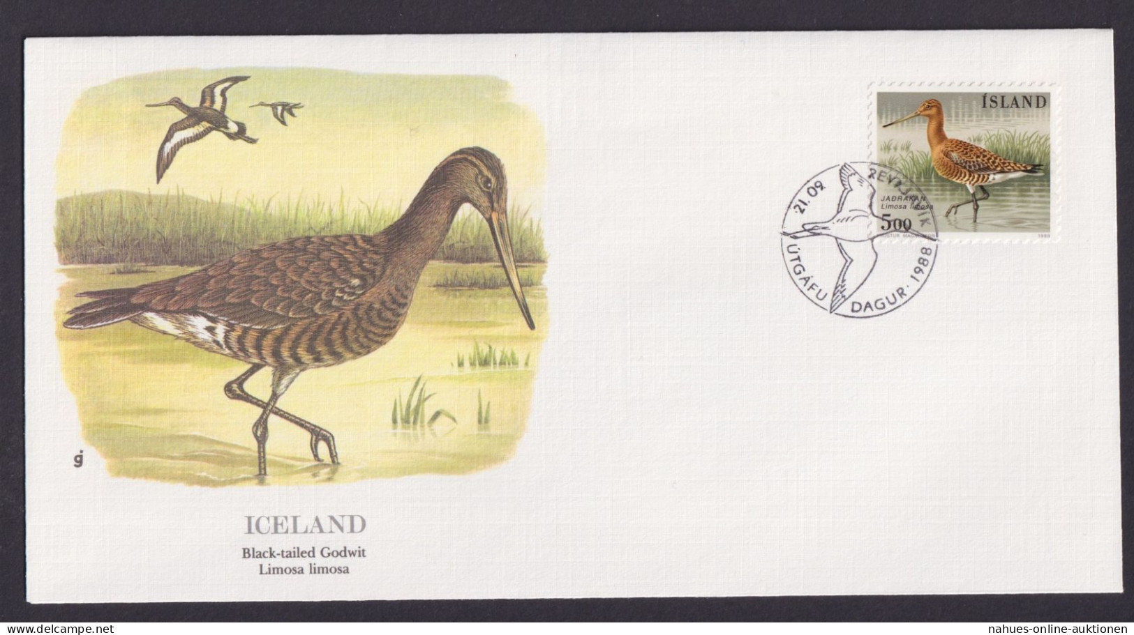 Iceland Island Fauna Vögel Uferschnäpfen Schöner Künstler Brief - Storia Postale