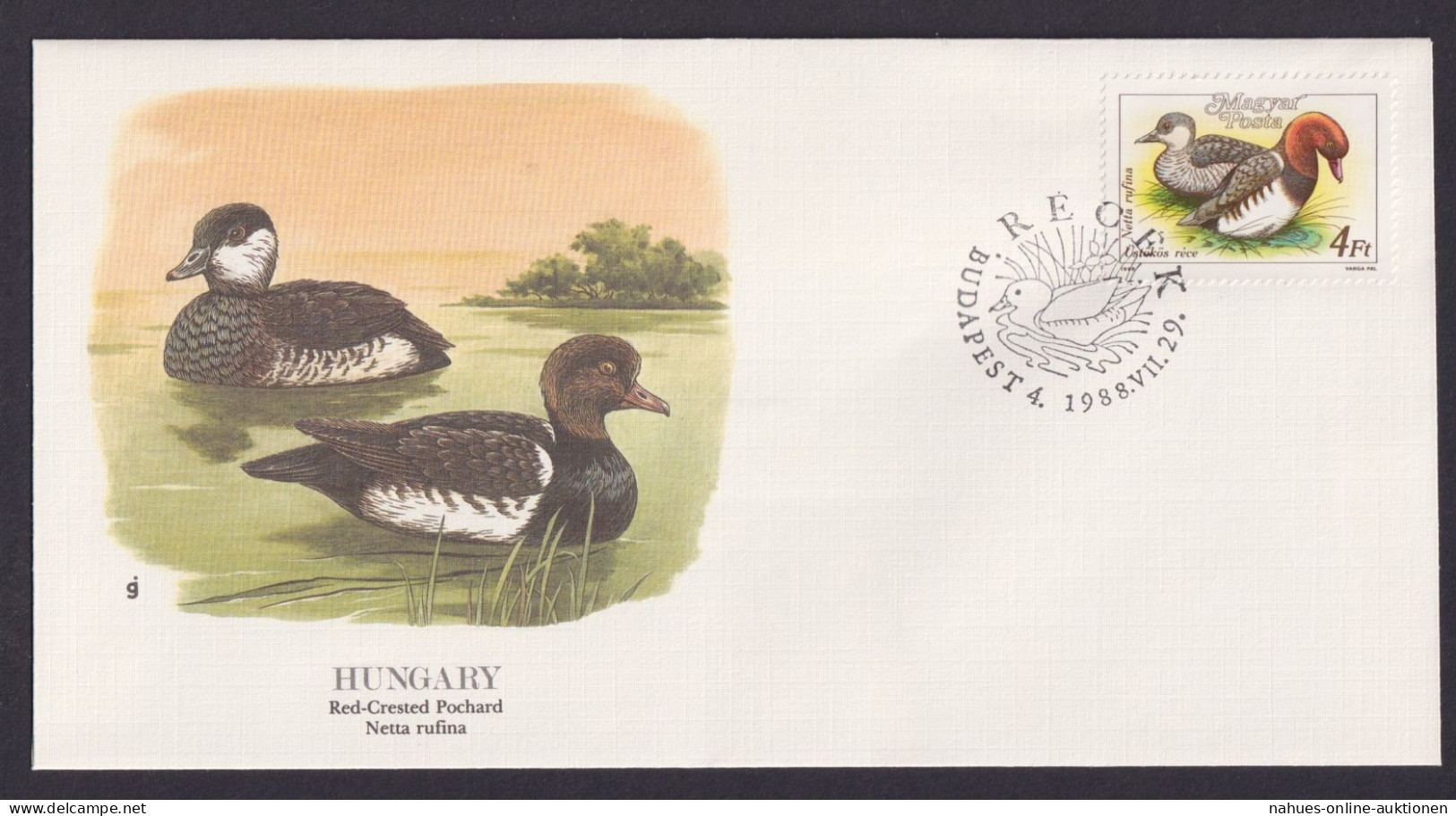 Hungary Ungarn Fauna Vögel Rotkamm Tafelente Schöner Künstler Brief - Storia Postale