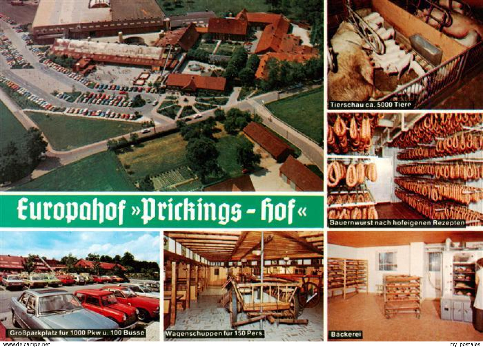73933697 Sythen_Haltern Europahof Prickings Hof Tierschau Bauernwurst Parkplatz  - Haltern