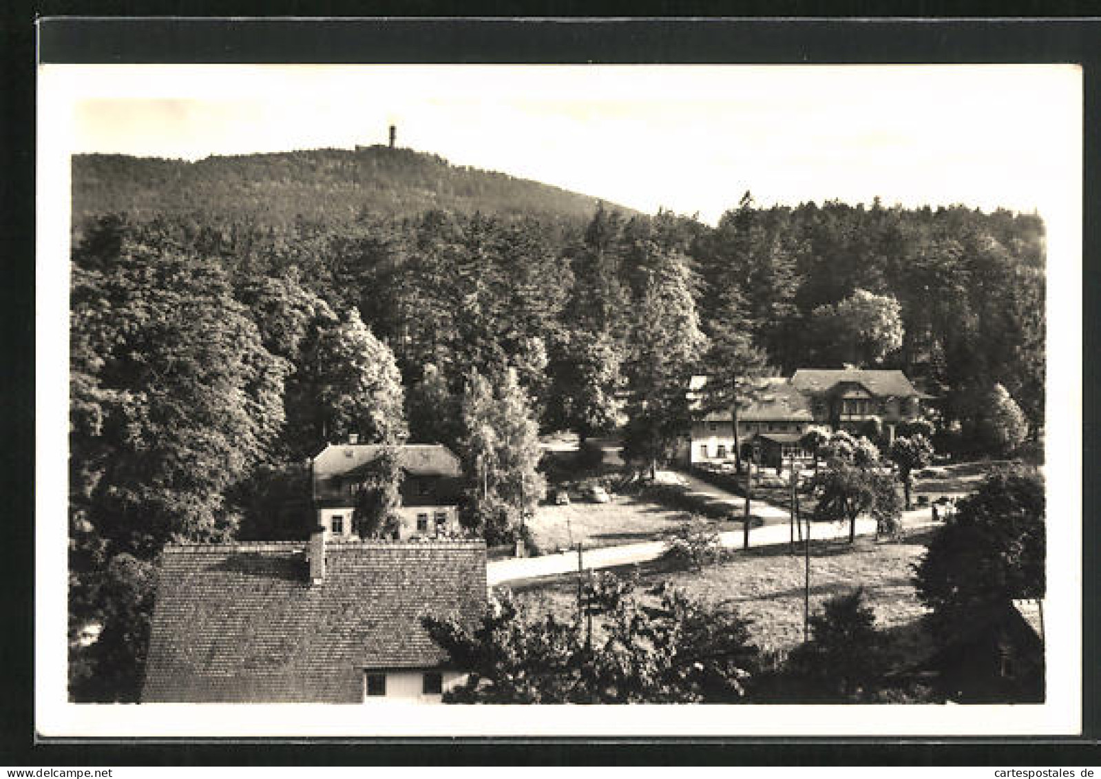 AK Oybin /Zittauer Gebirge, Kurhotel Forsthaus Hain Und Hochwald  - Caccia