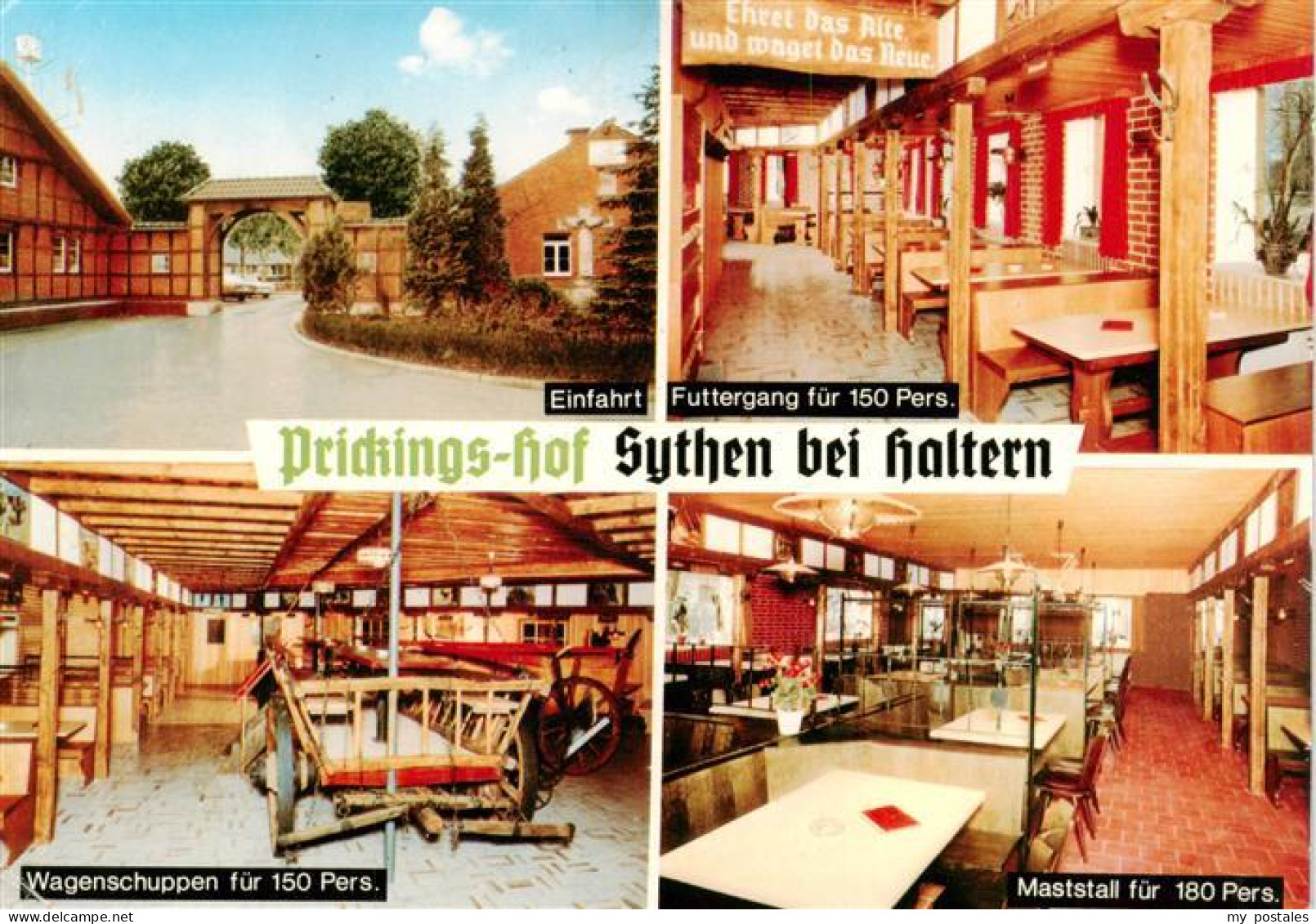 73933003 Sythen_Haltern Prickings Hof Einfahrt Futtergang Wagenschuppen Maststal - Haltern