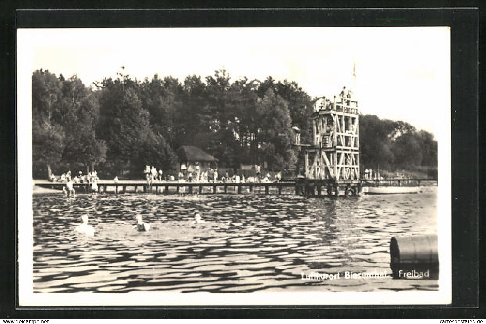 AK Biesenthal, Freibad Mit Sprungturm  - Biesenthal