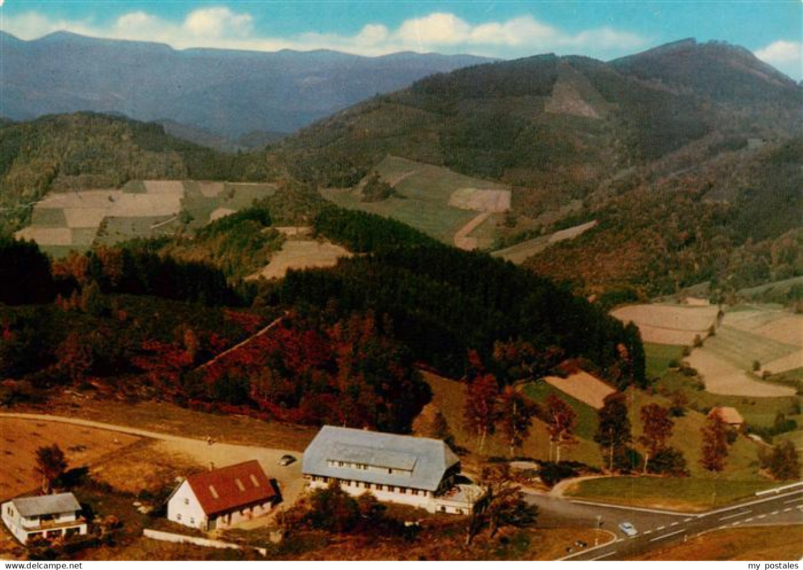 73932588 Oberprechtal_Elzach_Elztal_BW Hoehengasthaus Pension Landwassereck Im S - Elzach