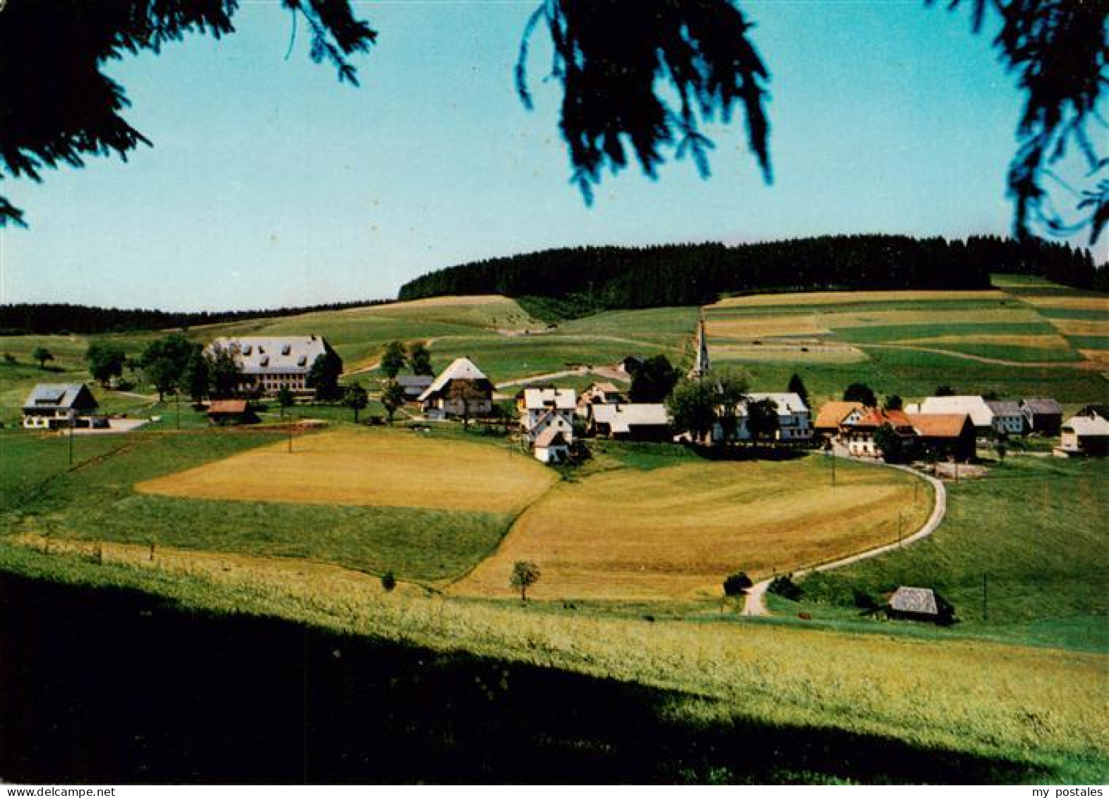 73932542 Waldau_Schwarzwald_Titisee-Neustadt Panorama Mit Gasthaus Pension Zur T - Titisee-Neustadt