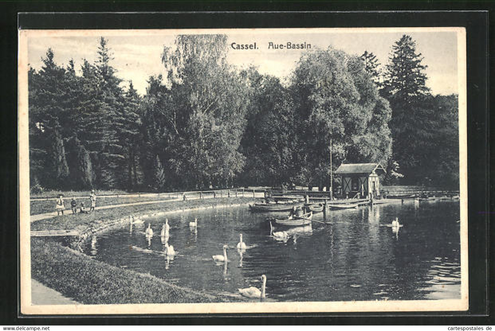 AK Kassel, Kinder Am Aue-Bassin, Schwäne Schwimmen Umher  - Kassel