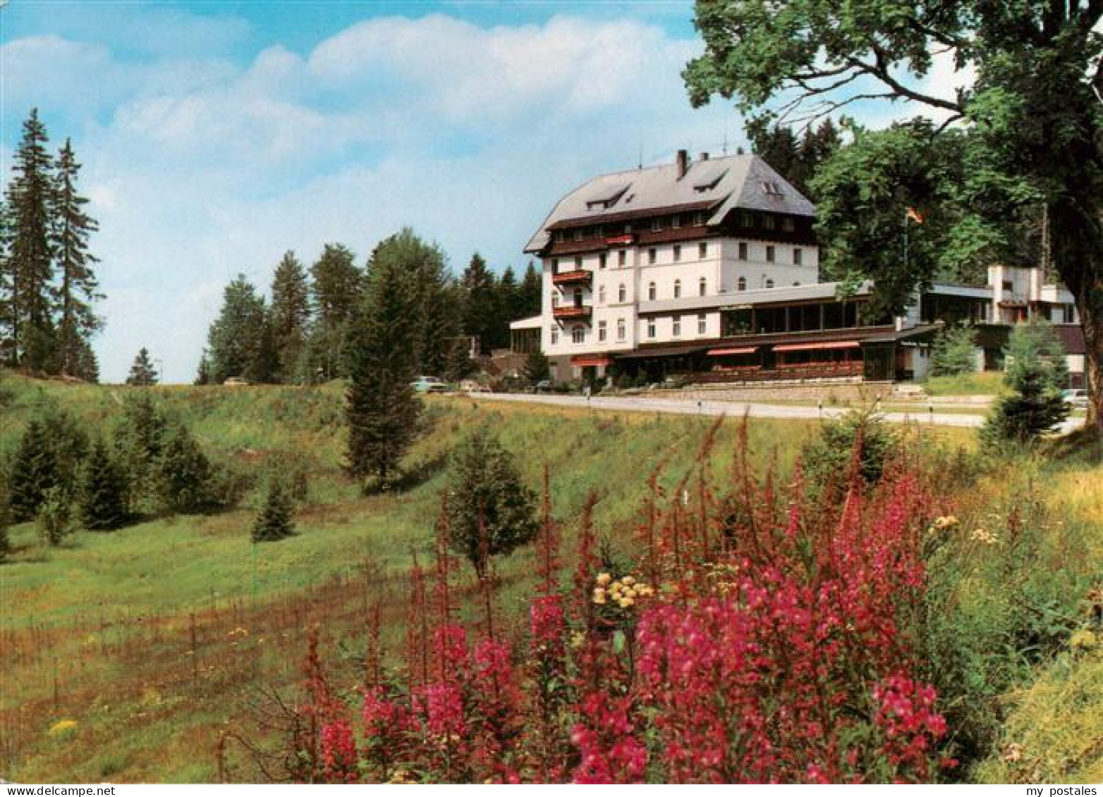 73931888 Notschrei_Todtnau Waldhotel Hoehenkur- Und Sporthotel Im Hochschwarzwal - Todtnau