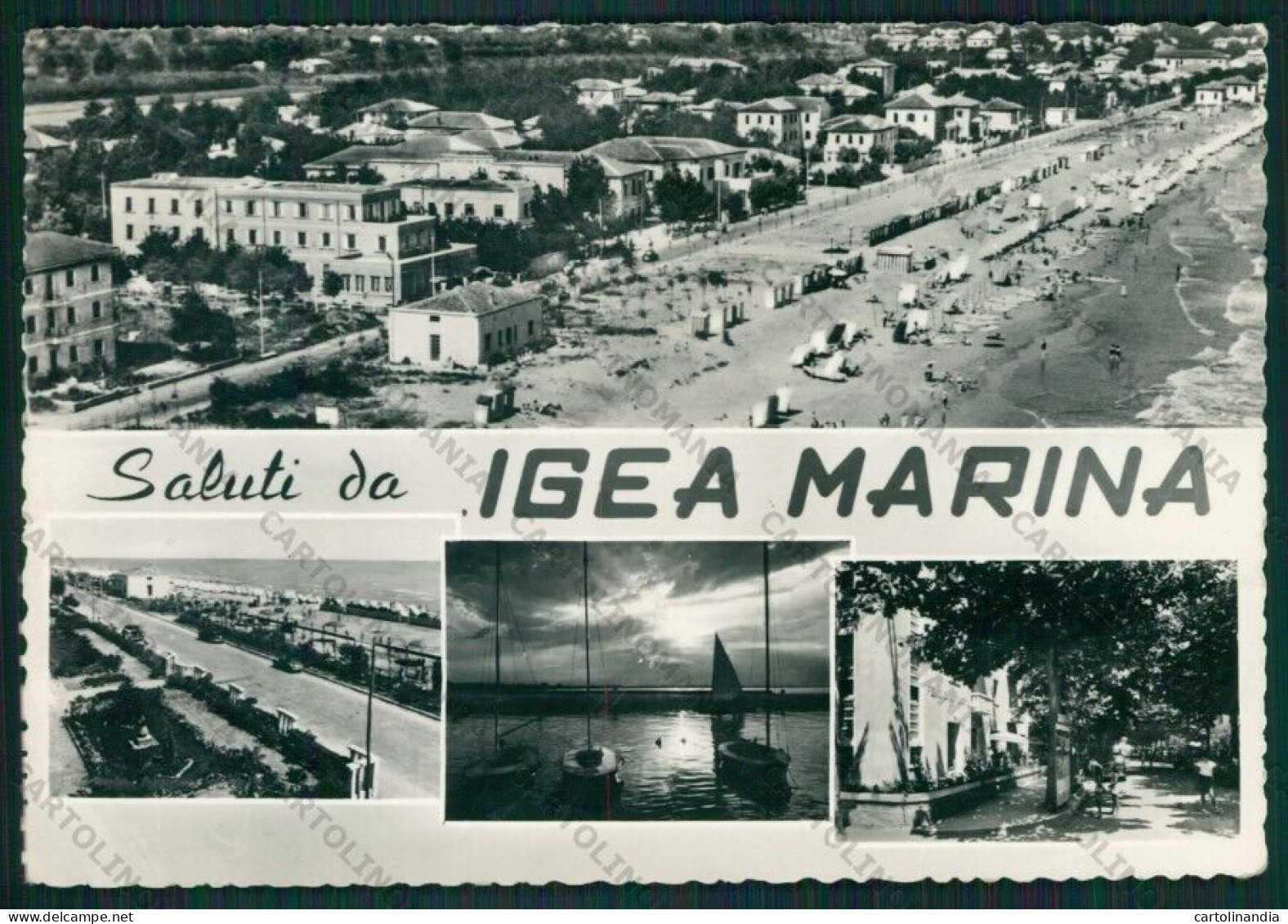 Rimini Bellaria Igea Marina Saluti Da PIEGA Foto FG Cartolina KB1303 - Rimini