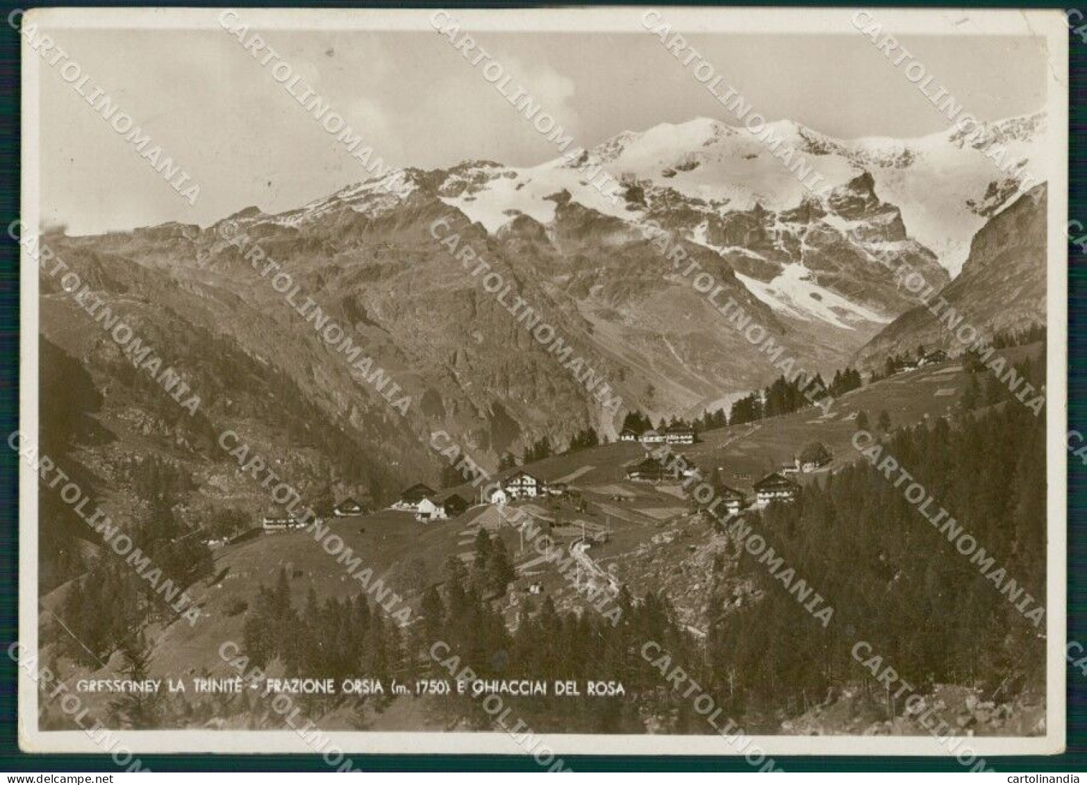 Aosta Gressoney La Trinitè Ghiacciai Del Rosa PIEGHE Foto FG Cartolina KB1461 - Aosta