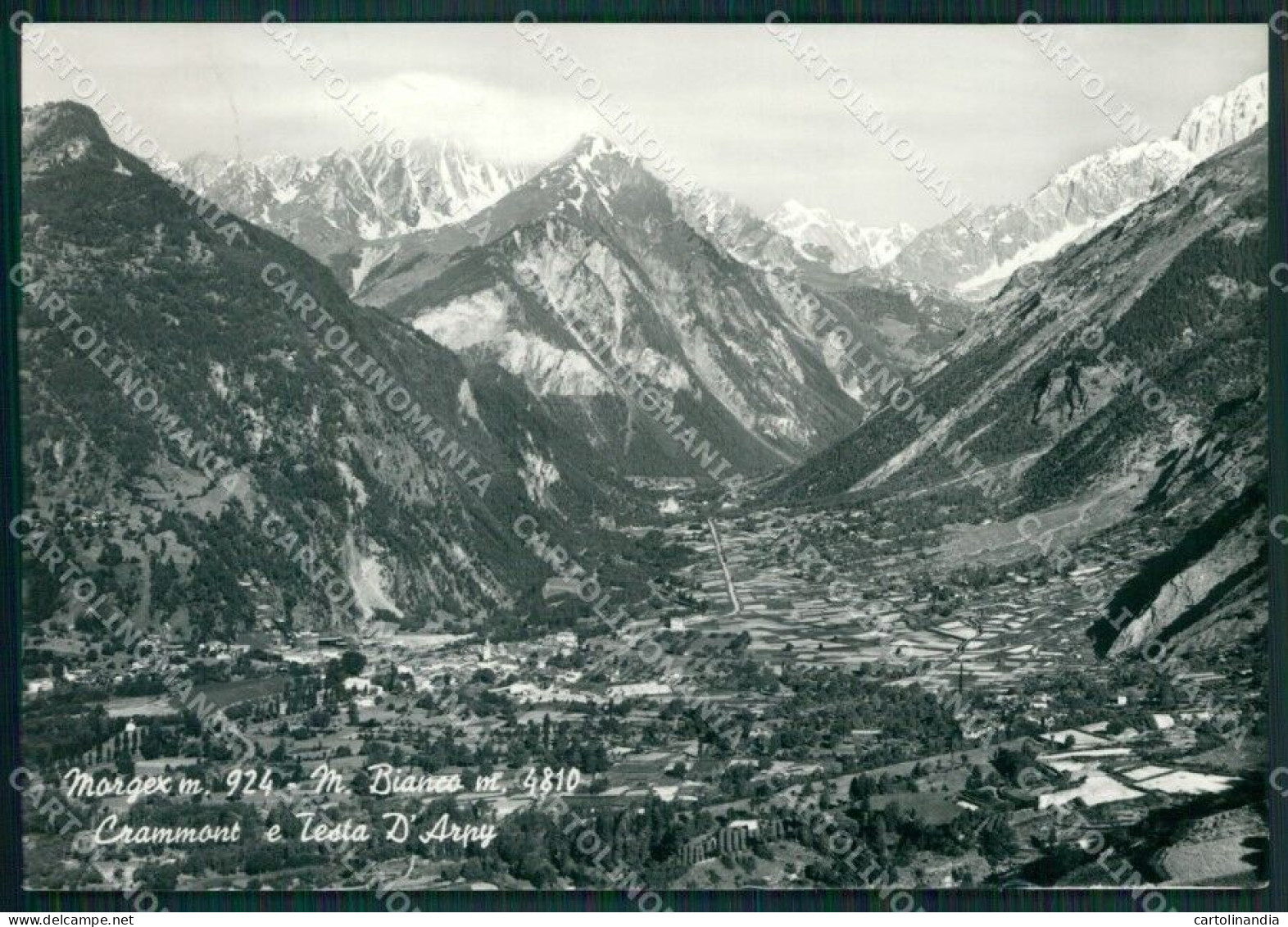 Aosta Mergex Monte Bianco Foto FG Cartolina KB1482 - Aosta