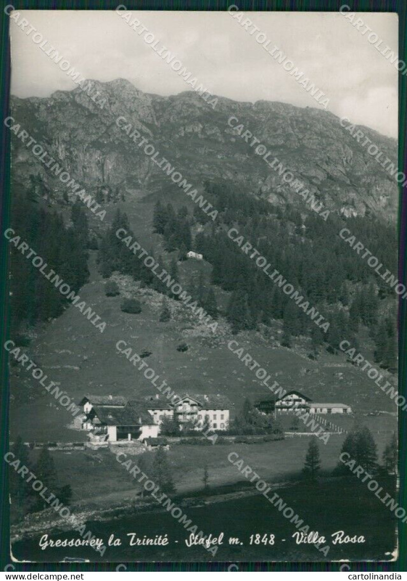 Aosta Gressoney La Trinitè Stafel Villa Rosa PIEGHINA Foto FG Cartolina KB1537 - Aosta