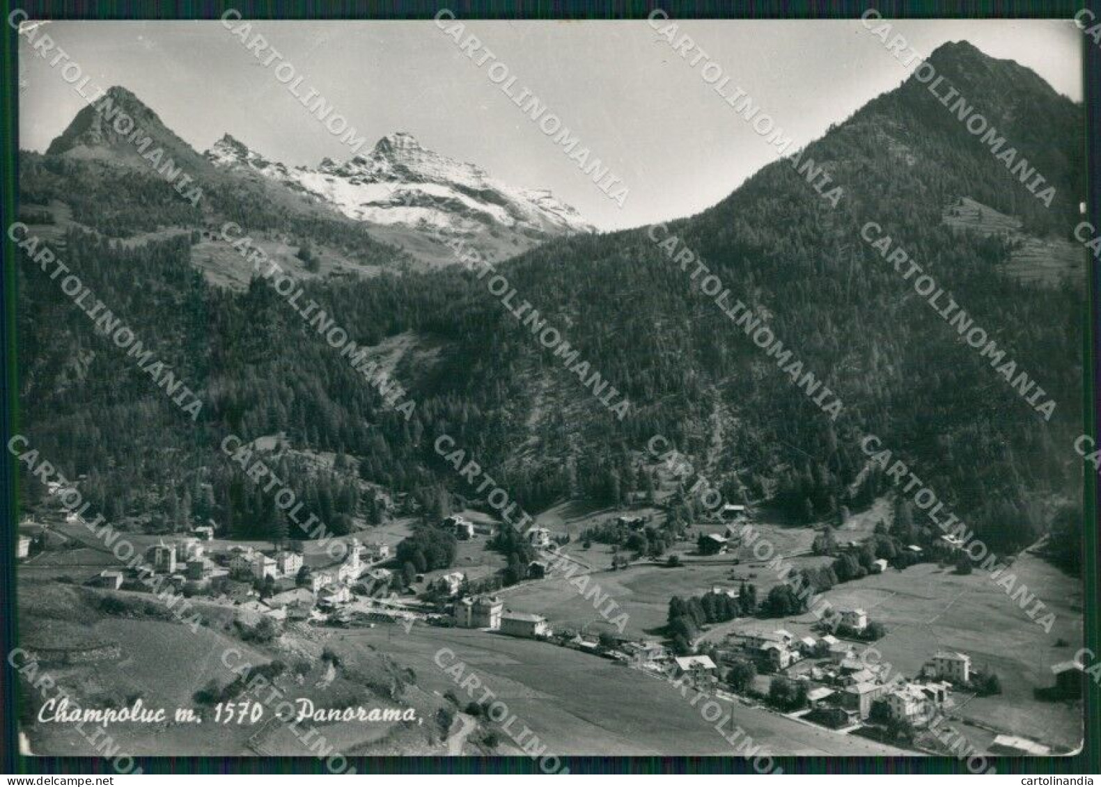 Aosta Ayas Champoluc Foto FG Cartolina KB1577 - Aosta