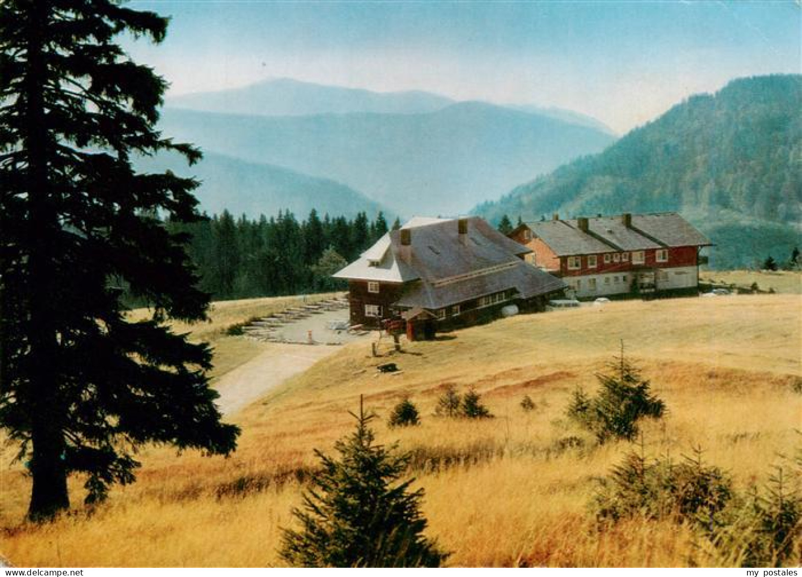 73931732 Feldberg_1450m_Schwarzwald Todtnauerhuette - Feldberg