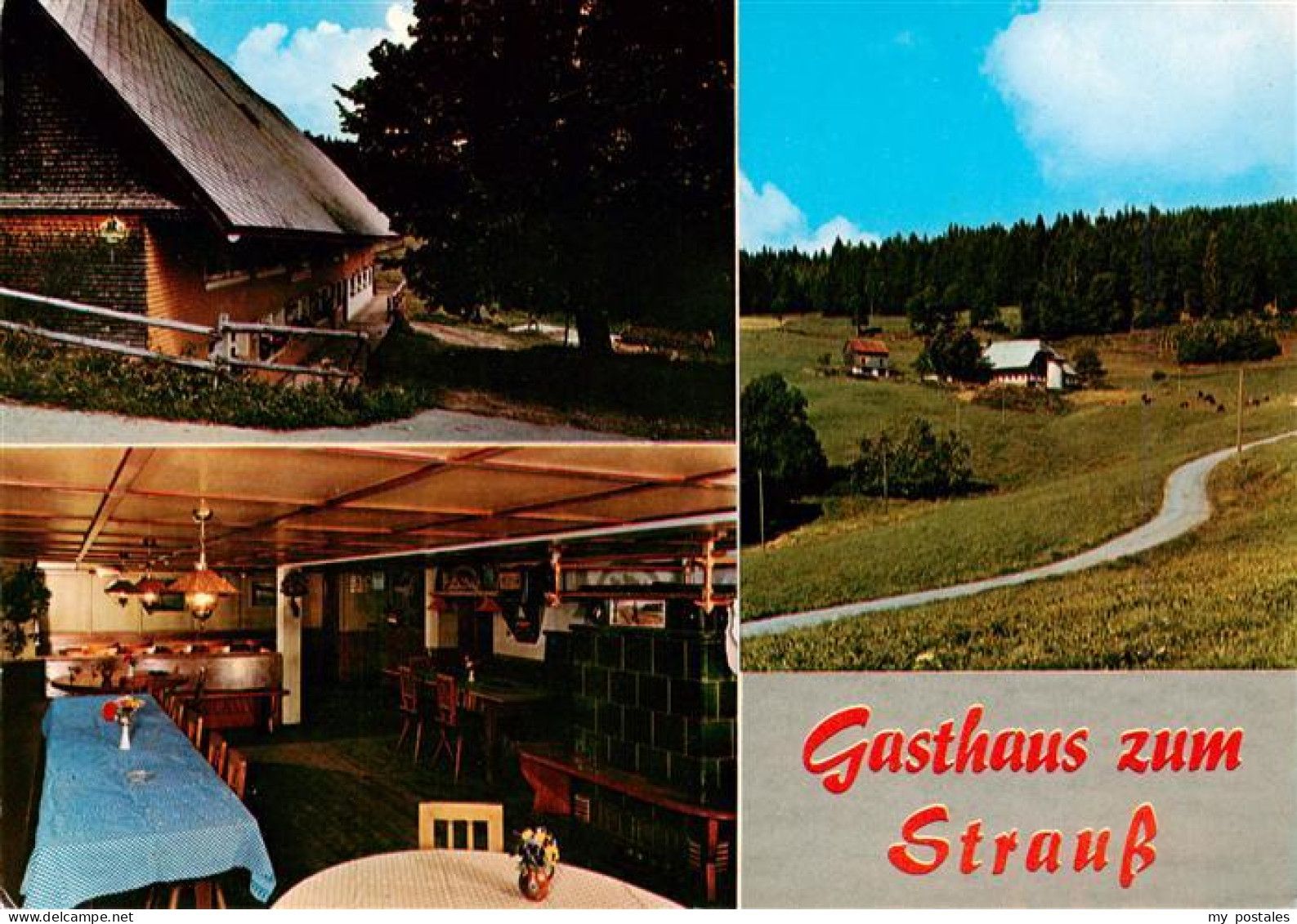 73931395 Siedelbach_Titisee-Neustadt Gasthaus Zum Strauss Baeuerliche Gaststaett - Titisee-Neustadt