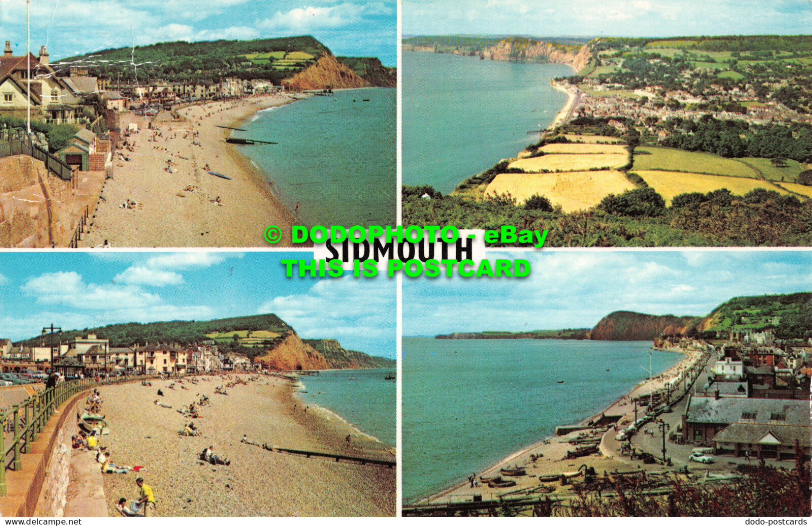 R483223 Sidmouth. Postcard. Multi View - Monde