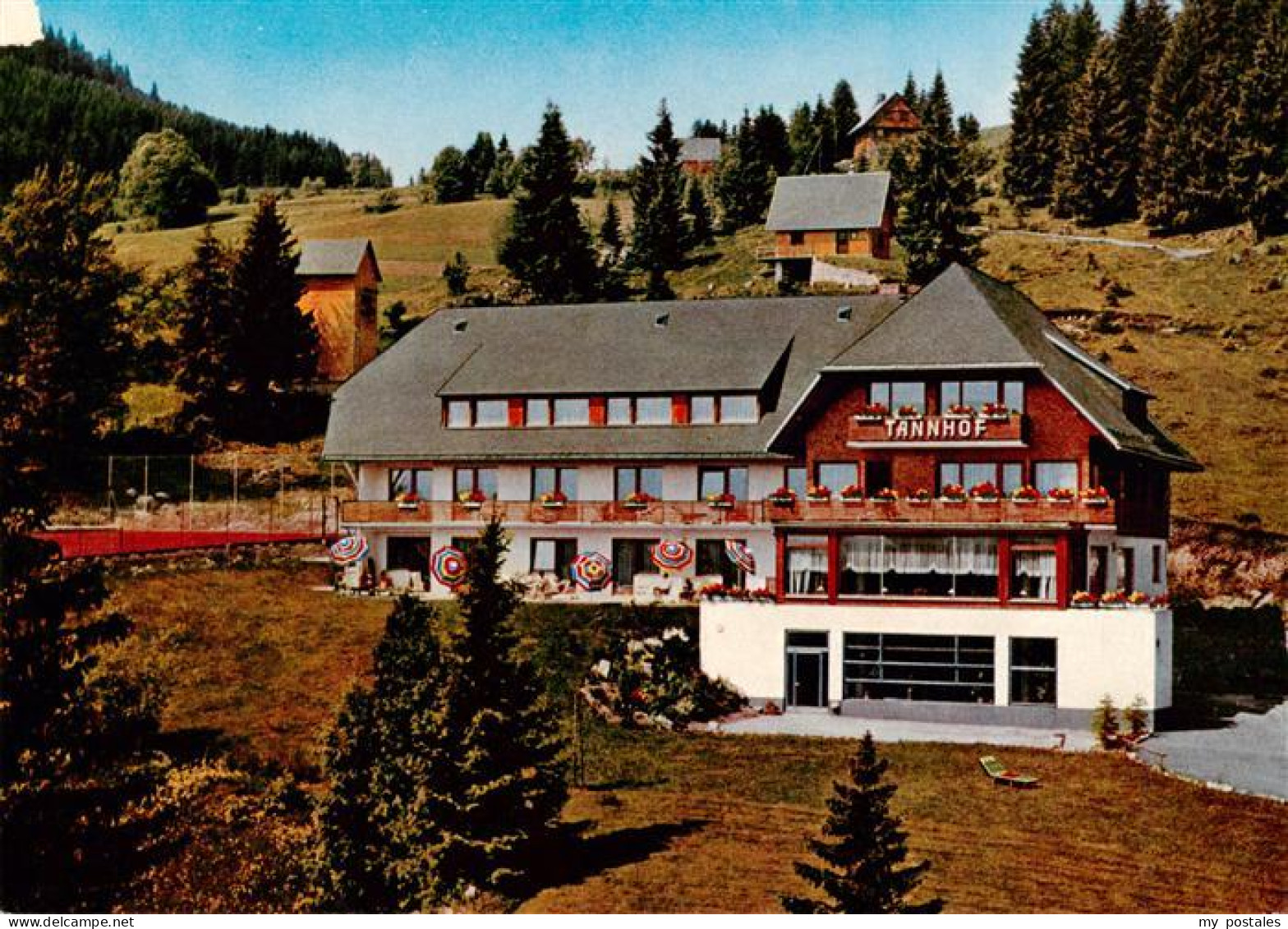 73931232 Baerental_Feldberg Hotel Haus Tannenhof - Feldberg