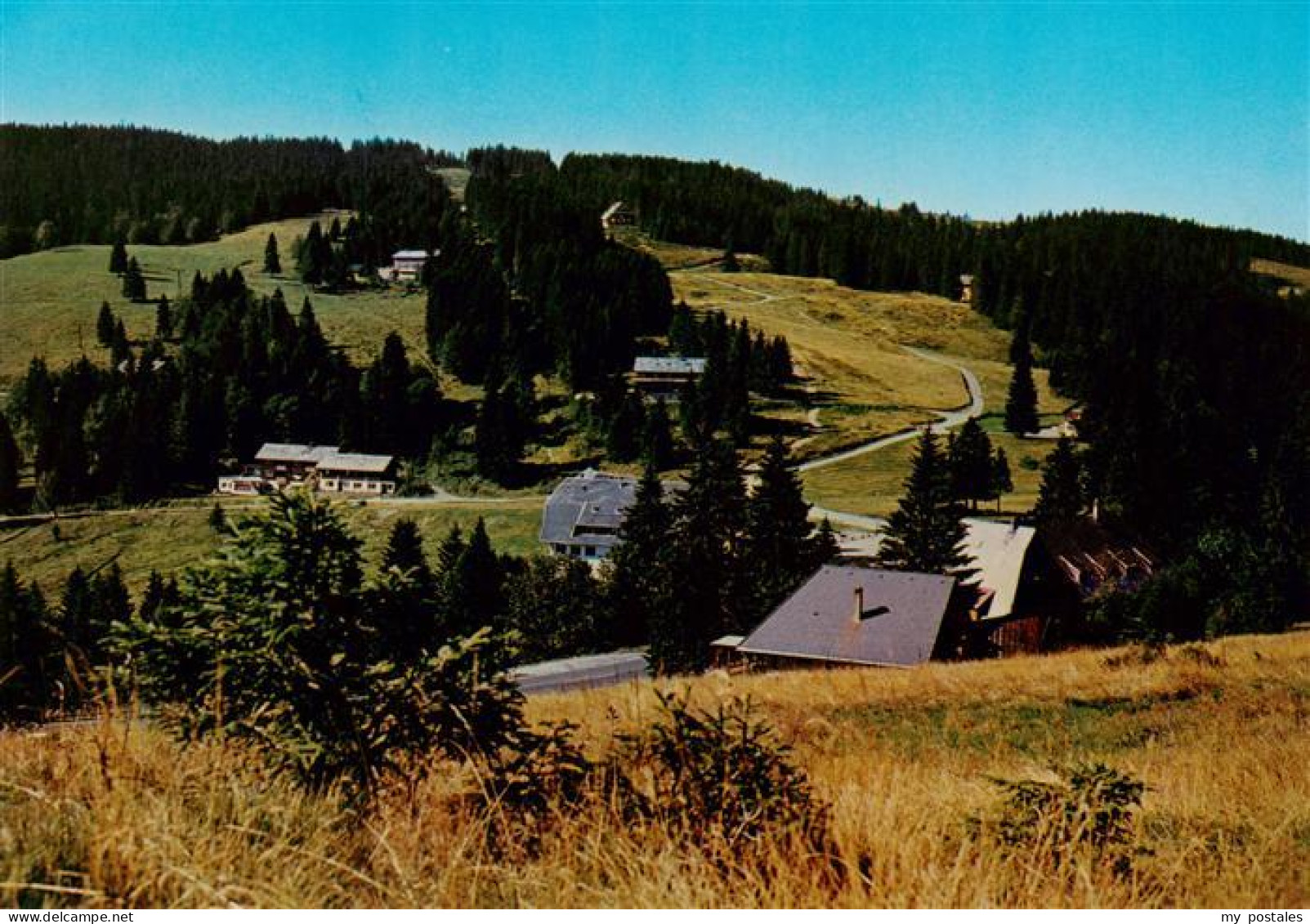 73931231 Feldberg_1450m_Schwarzwald Grafenmatt Panorama - Feldberg