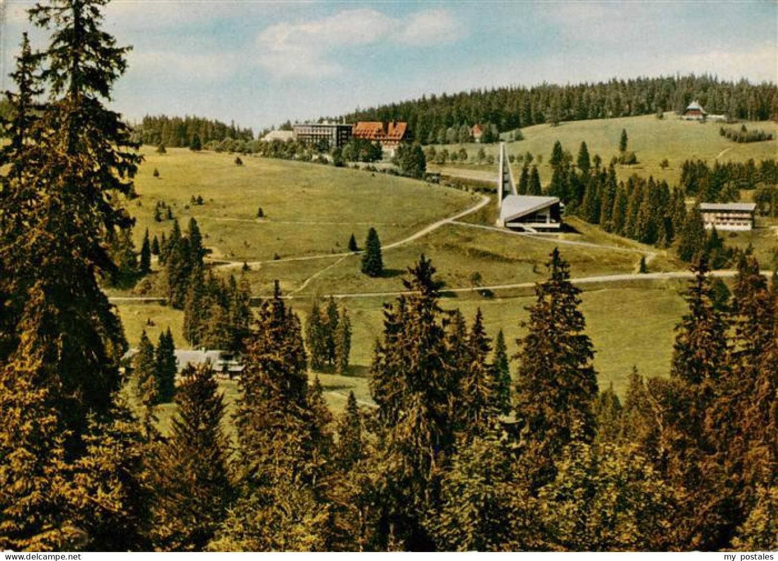 73931193 Feldberg_1450m_Schwarzwald Panorama - Feldberg