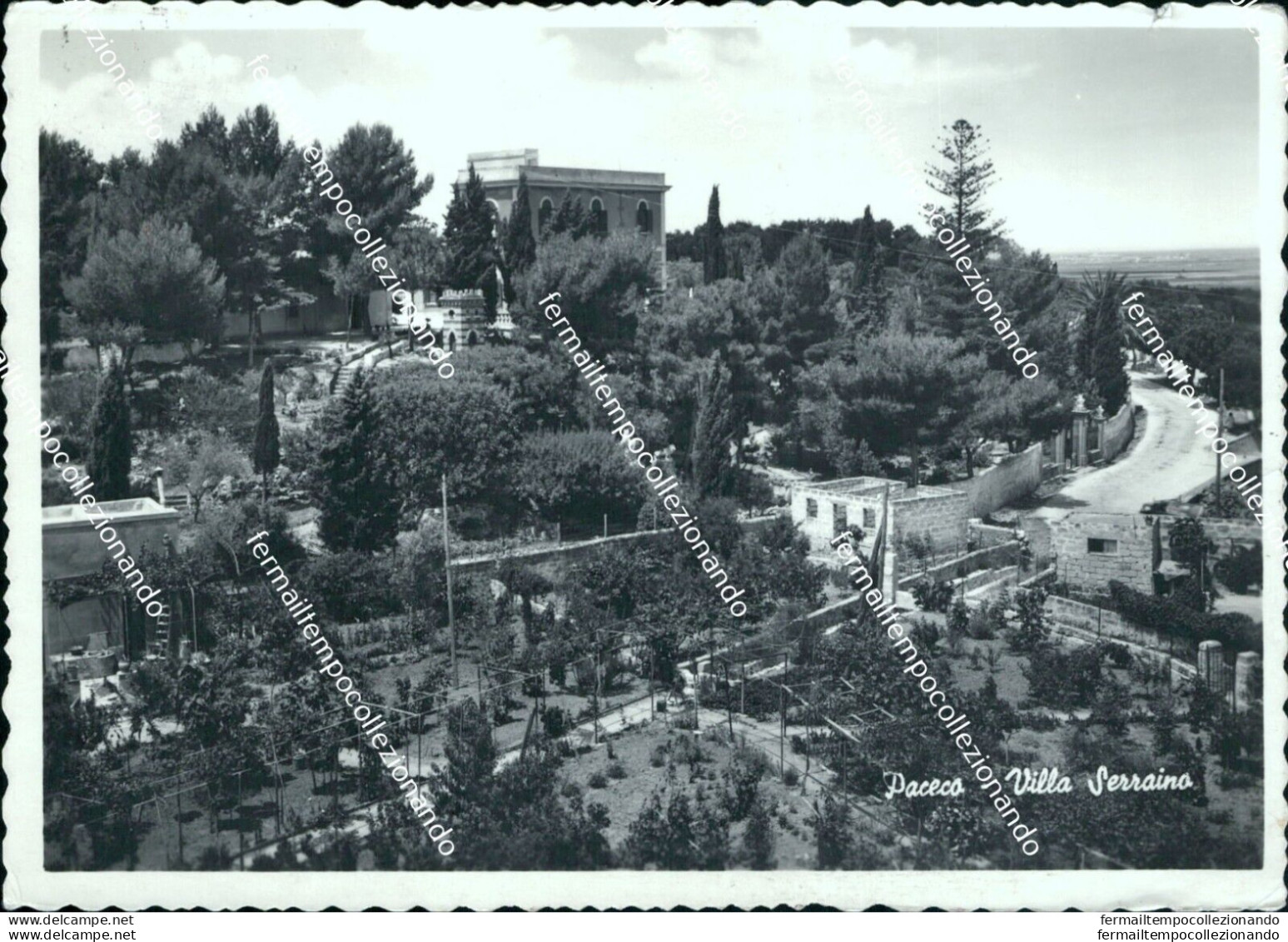 Bm601 Cartolina Paceco Villa Serraino Provincia Di Trapani - Trapani