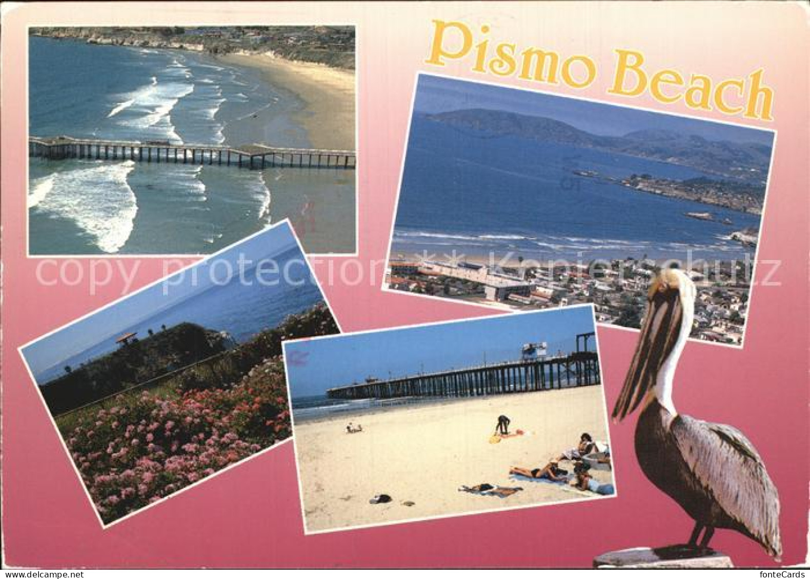 72486726 Pismo_Beach Seebruecke Strand Pelikan - Altri & Non Classificati