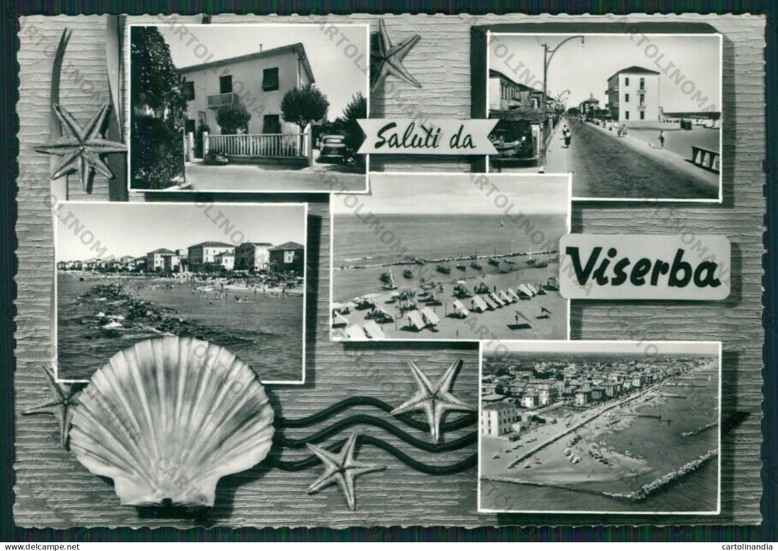 Rimini Viserba Saluti Da Foto FG Cartolina KB0944 - Rimini