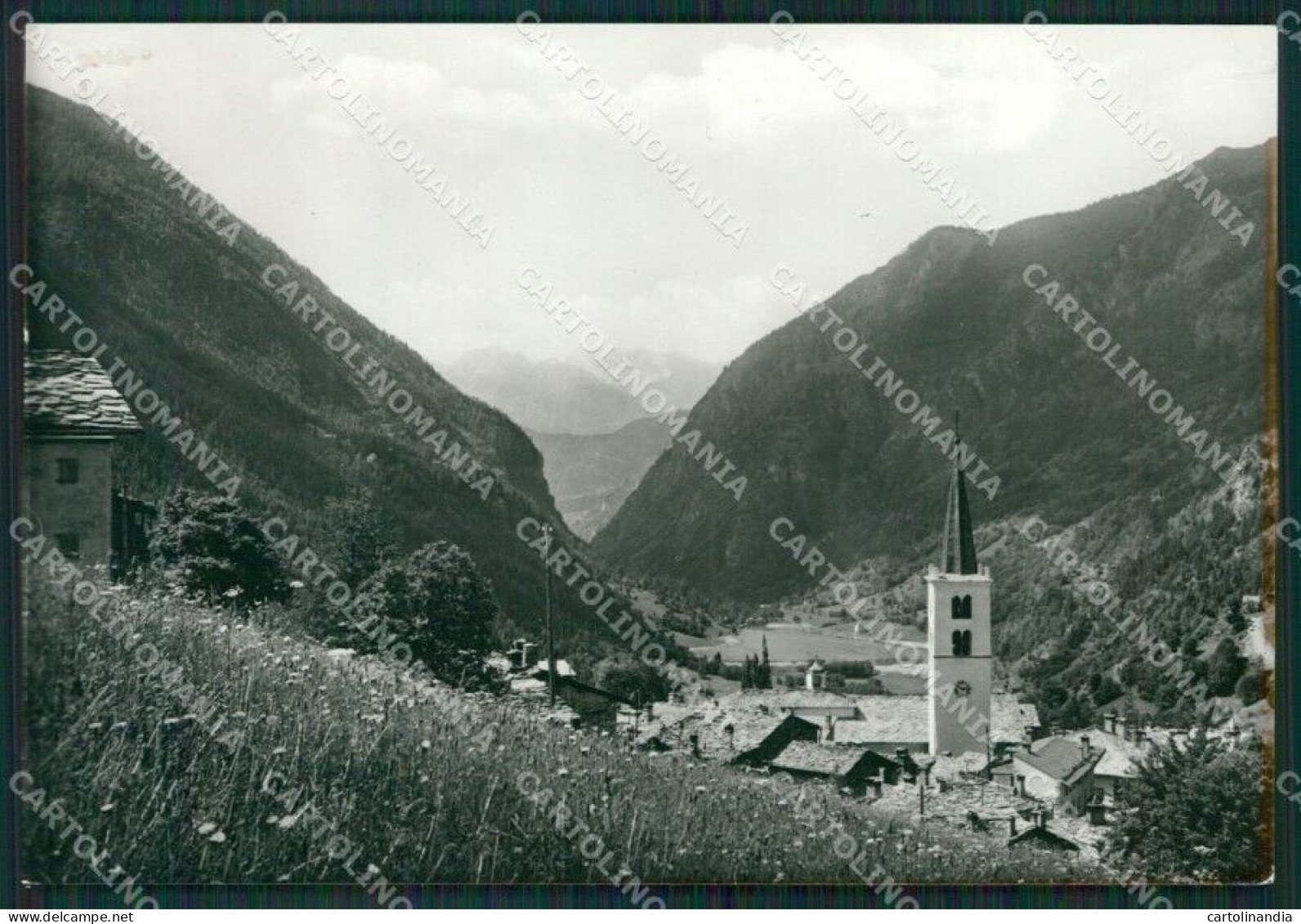 Aosta Valtournanche Foto FG Cartolina KB1605 - Aosta