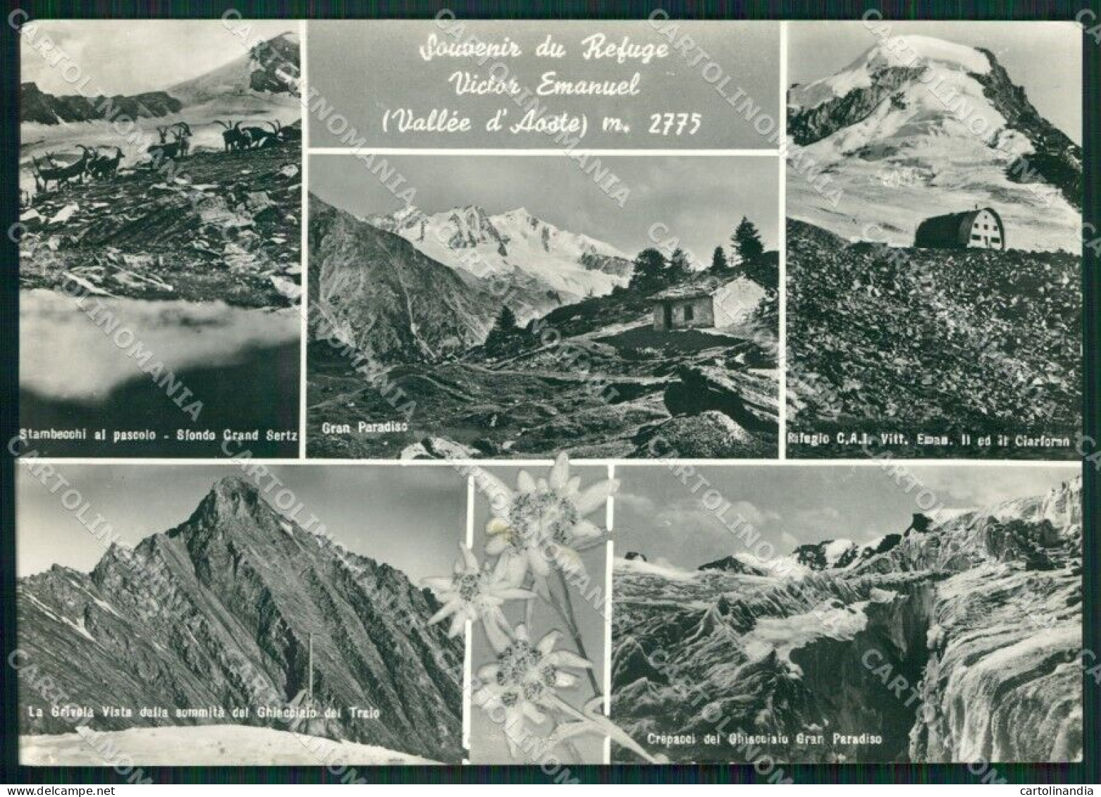 Aosta Rifugi Valle D'Aosta Foto FG Cartolina KB1719 - Aosta