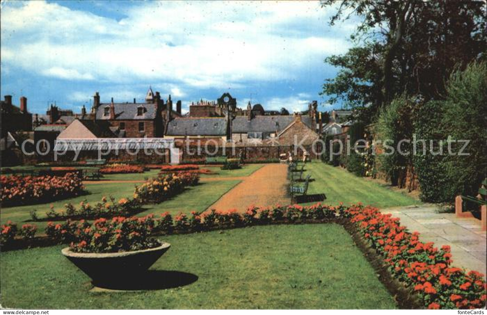 72467469 Arbroath Springfield Park  - Altri & Non Classificati